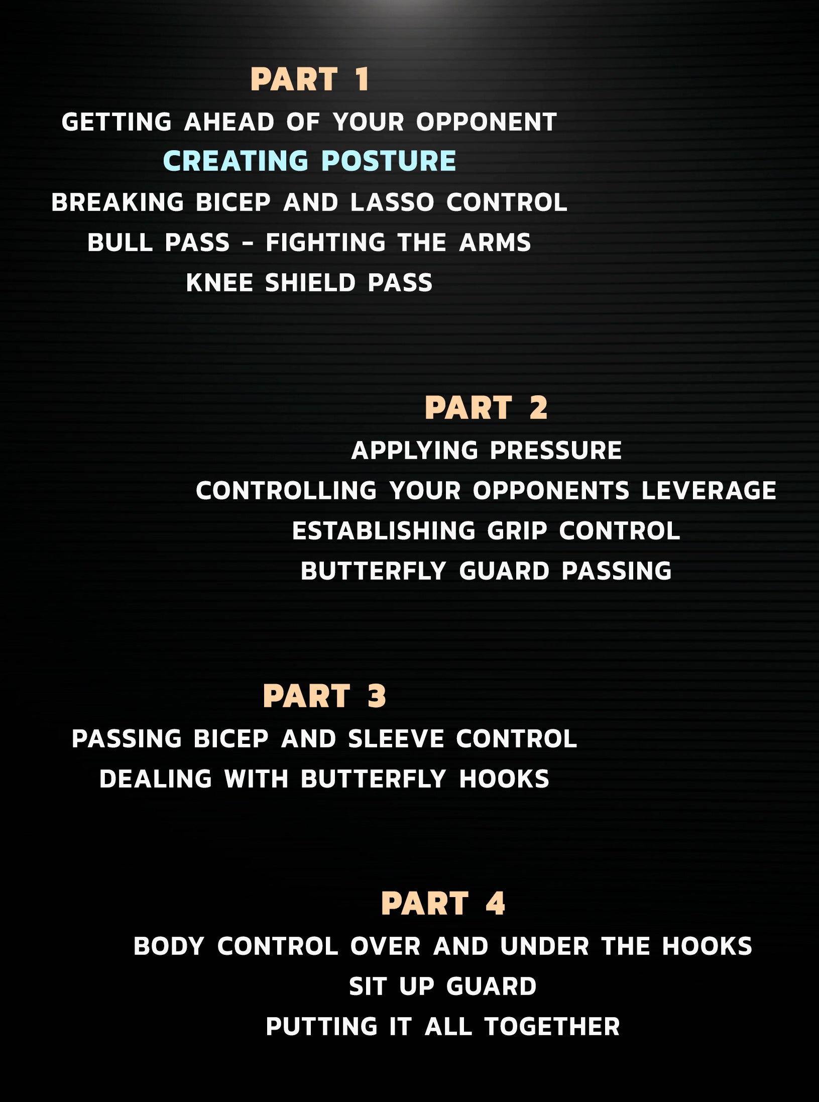 Coral Belt Concepts: Guard Passing by Fabio Gurgel image 2