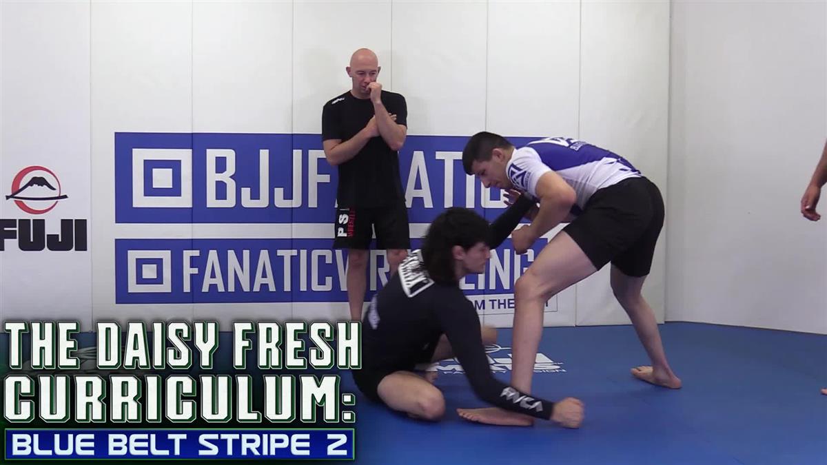 The Daisy Fresh Curriculum: Blue Belt No Gi Stripe 2 by Heath Pedigo image 3