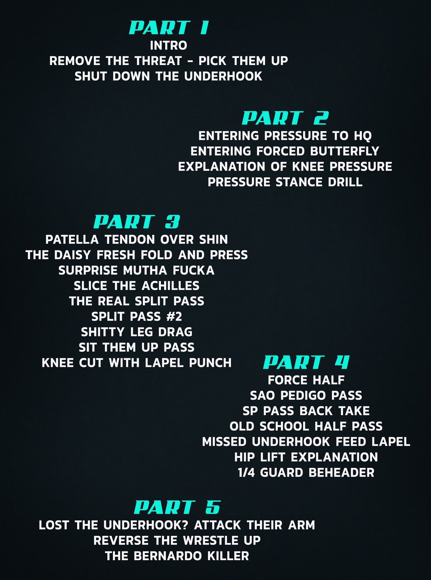 The Daisy Fresh Curriculum: Blue Belt Stripe 1 Gi by Heath Pedigo image 2