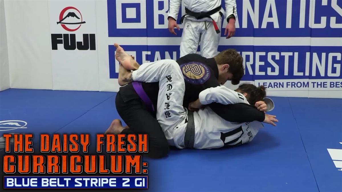 The Daisy Fresh Curriculum: Blue Belt Stripe 2 Gi by Heath Pedigo image 3