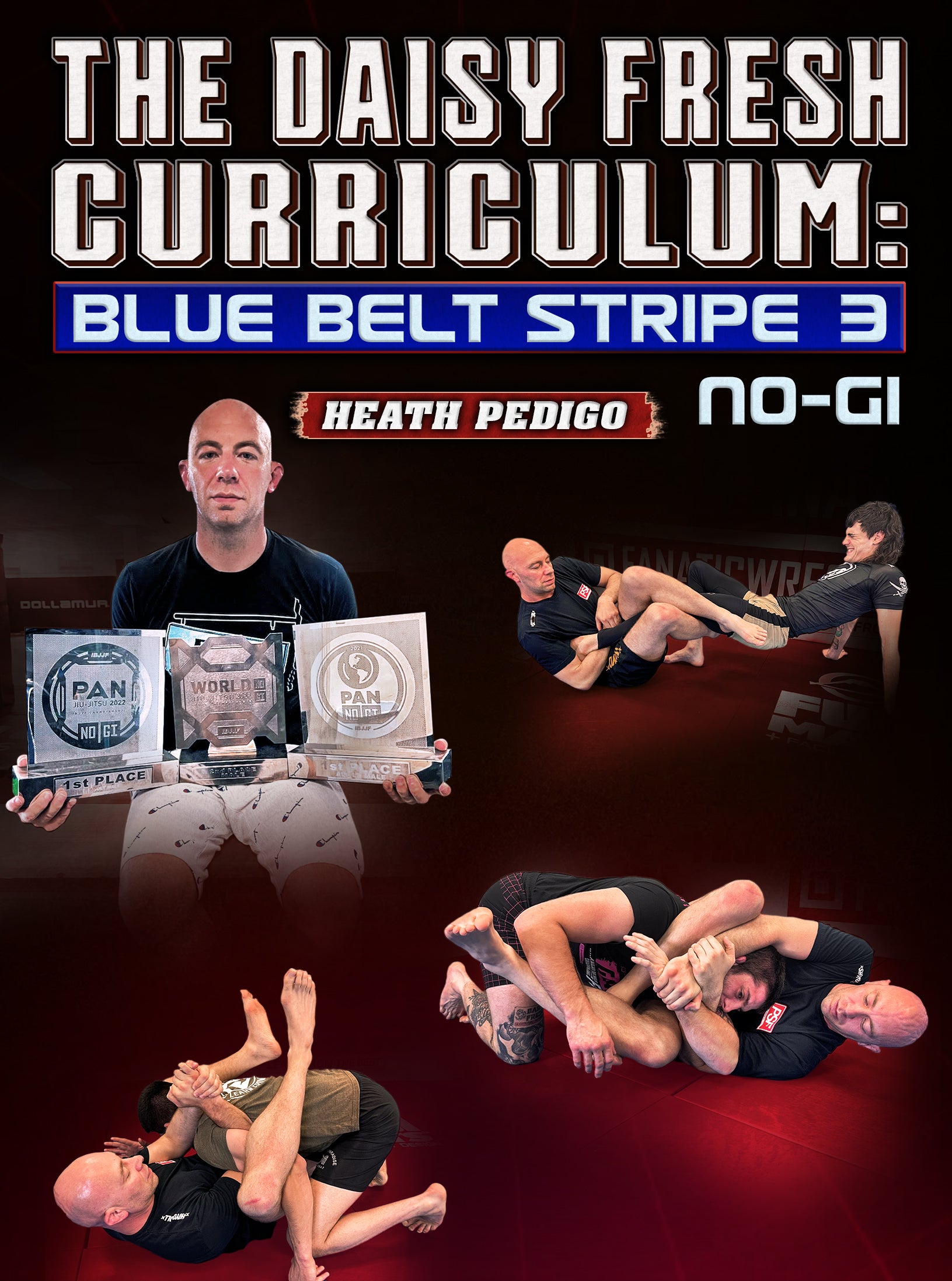 The Daisy Fresh Curriculum: Blue Belt No Gi Stripe 3 by Heath Pedigo image 1