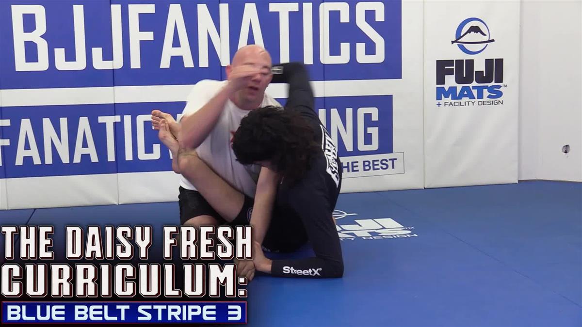 The Daisy Fresh Curriculum: Blue Belt No Gi Stripe 3 by Heath Pedigo image 3