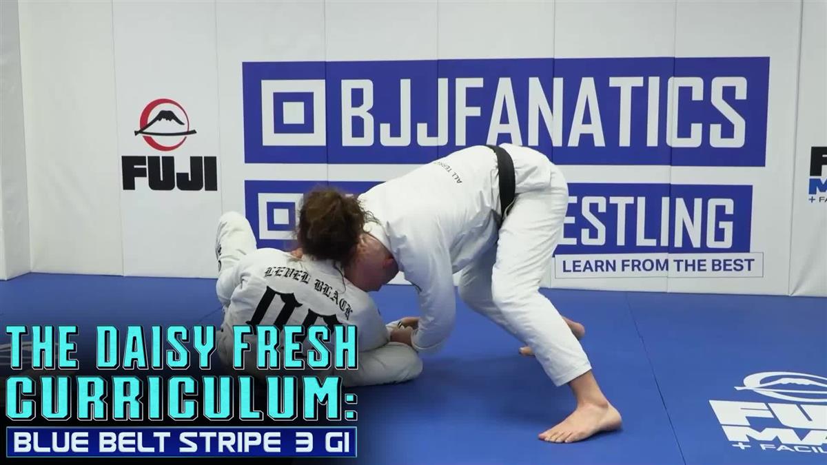The Daisy Fresh Curriculum: Blue Belt Stripe 3 Gi by Heath Pedigo image 3