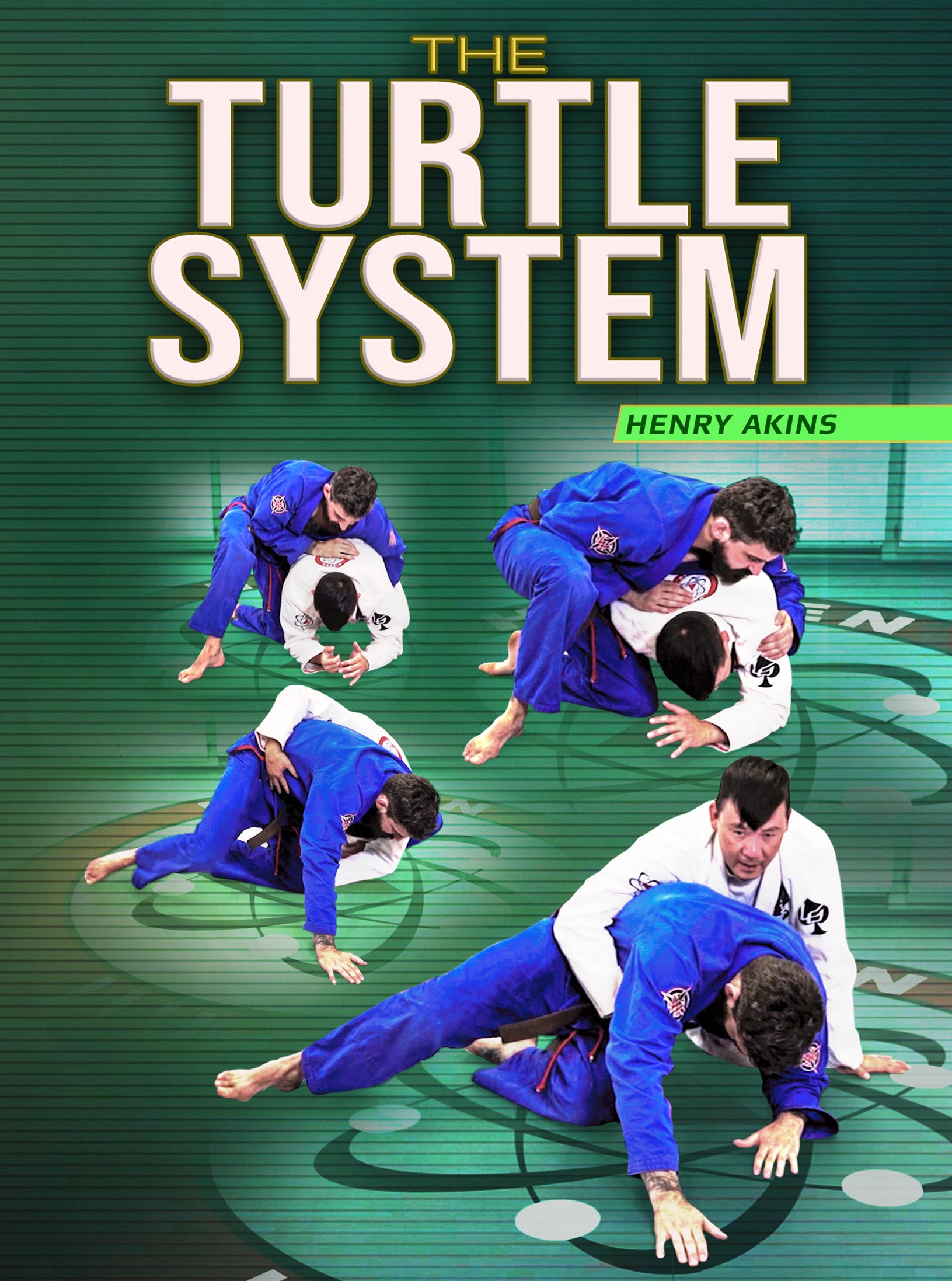 The Turtle System by Henry Akins image 1