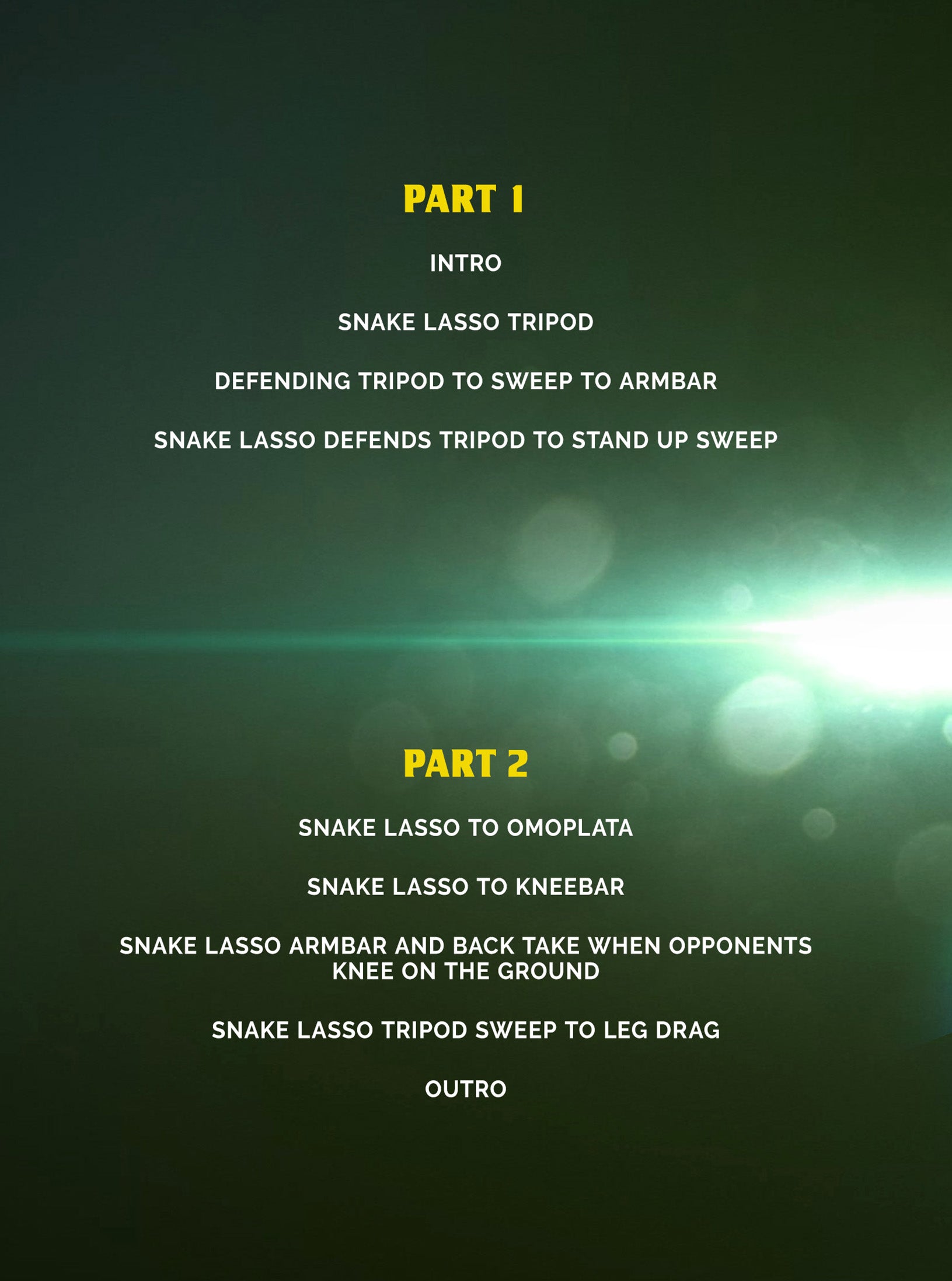 The Snake Lasso Guard by Hiago Gama image 2