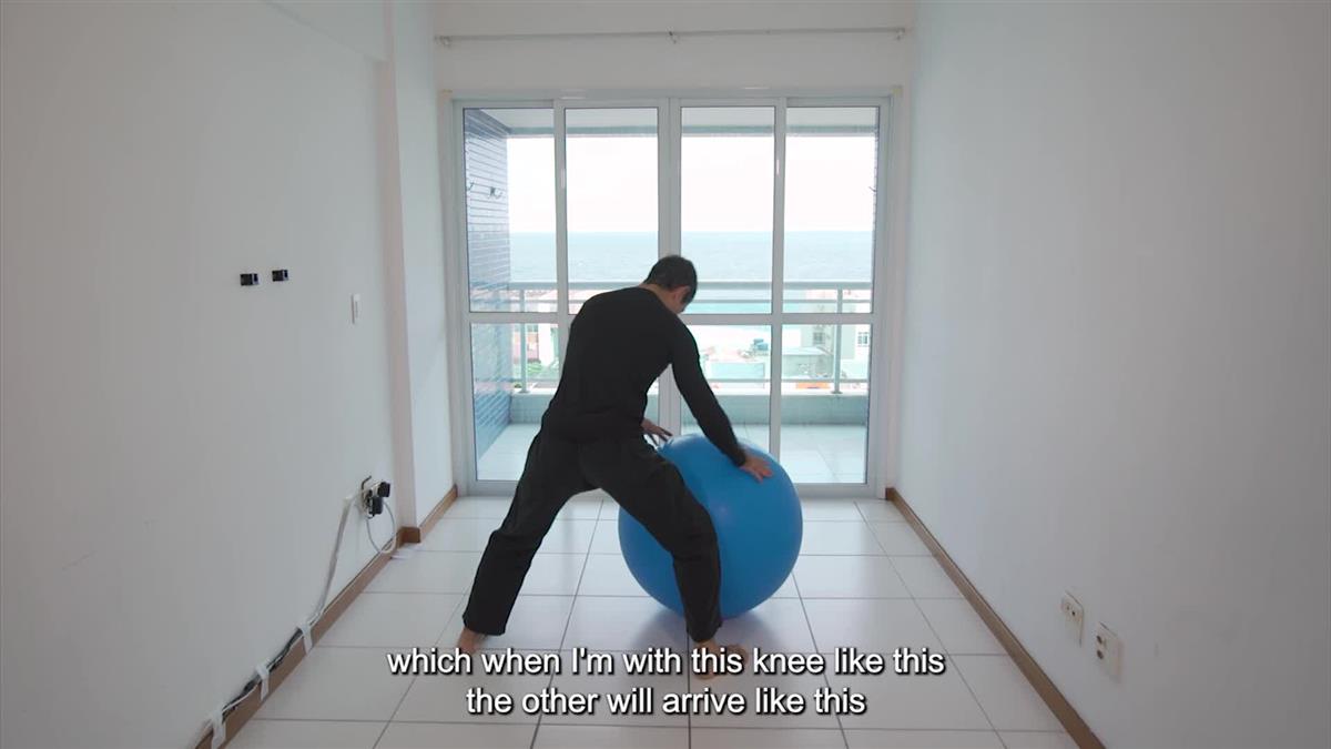 The Mobility Ball Encyclopedia volume 1: Building Basic Mobility by Humberto Silveira image 4