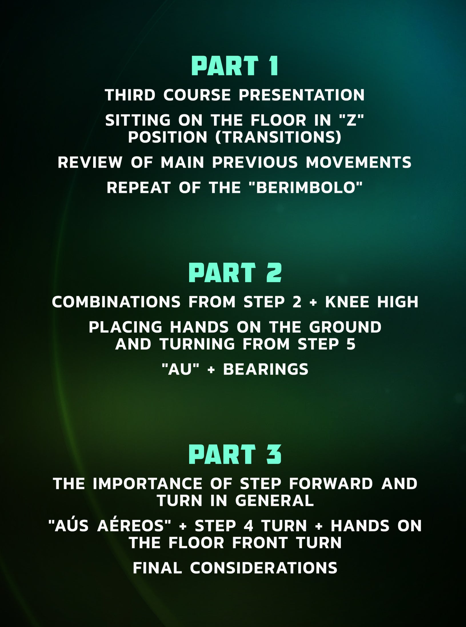 The Mobility Ball Encyclopedia volume 3: Mobility Mastery by Humberto Silveira image 2