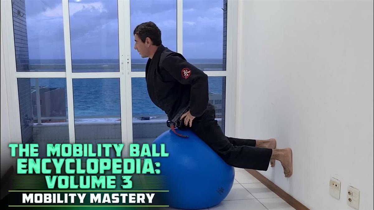 The Mobility Ball Encyclopedia volume 3: Mobility Mastery by Humberto Silveira image 3