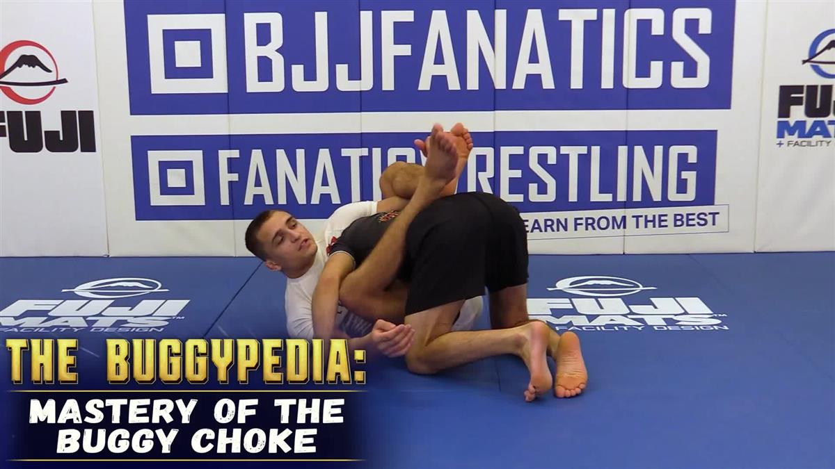 The Buggypedia by Jay Rodriguez image 3