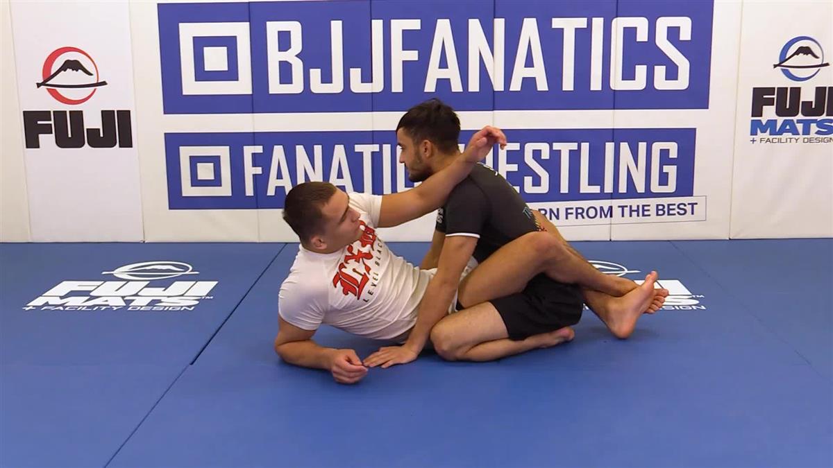 The Buggypedia by Jay Rodriguez image 5