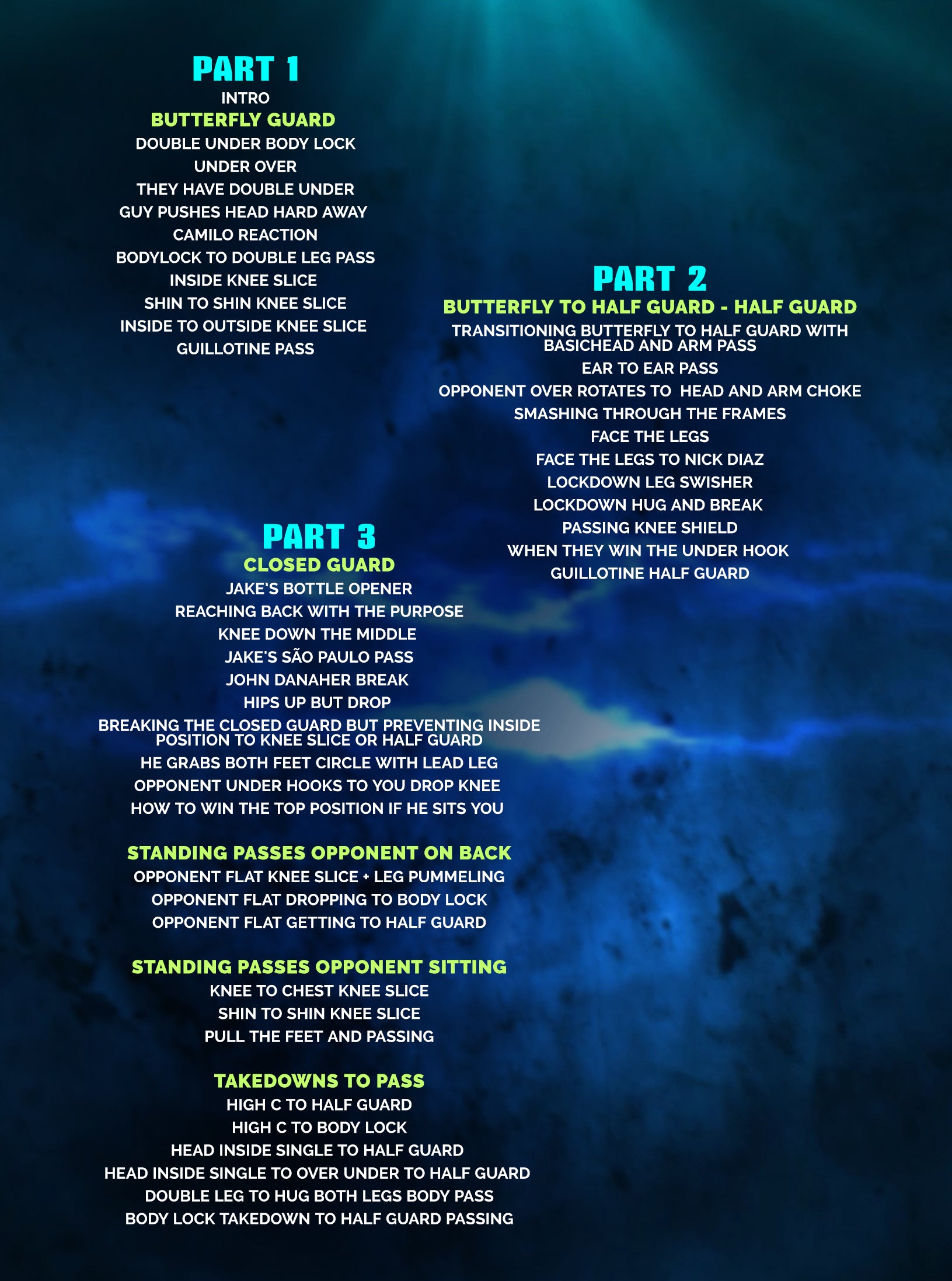 The American Jiu Jitsu Pressure Passing System by Jake Shields image 2