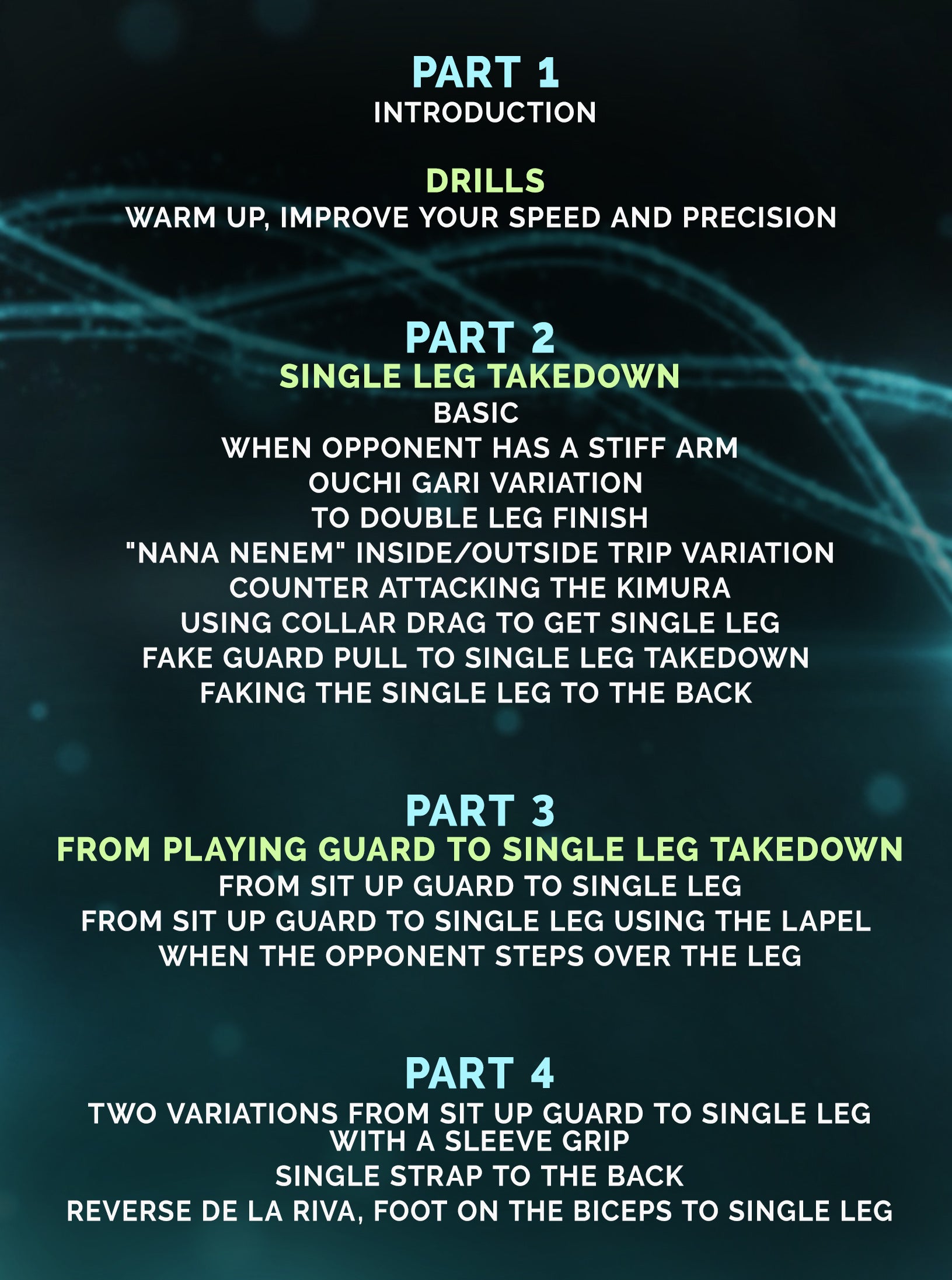The Most Effective Single Leg Takedowns by Jansen Gomes image 2