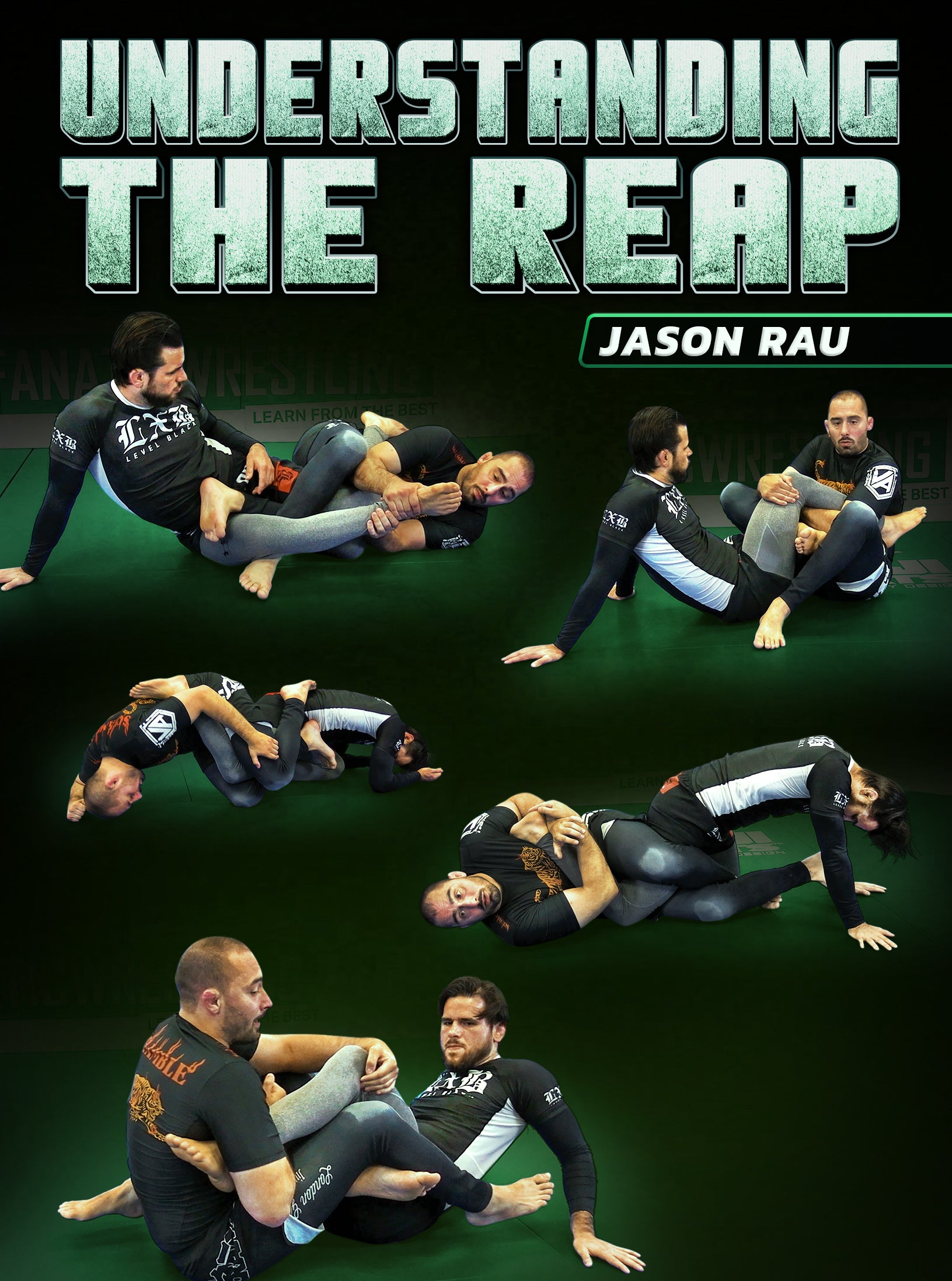 Understanding The Reap by Jason Rau