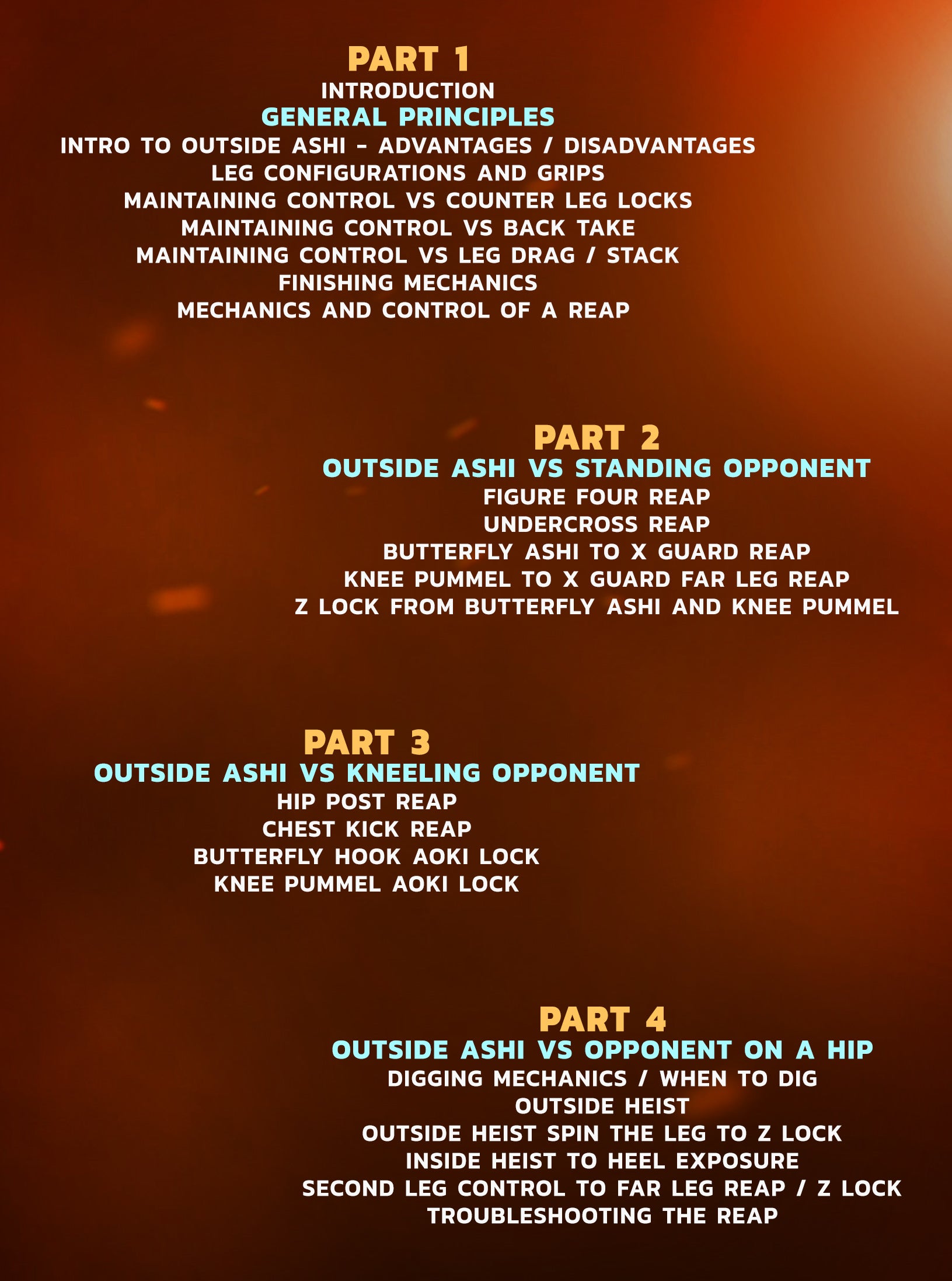 Dynamic Outside Ashi: Leg Attacks by Jason Rau image 2