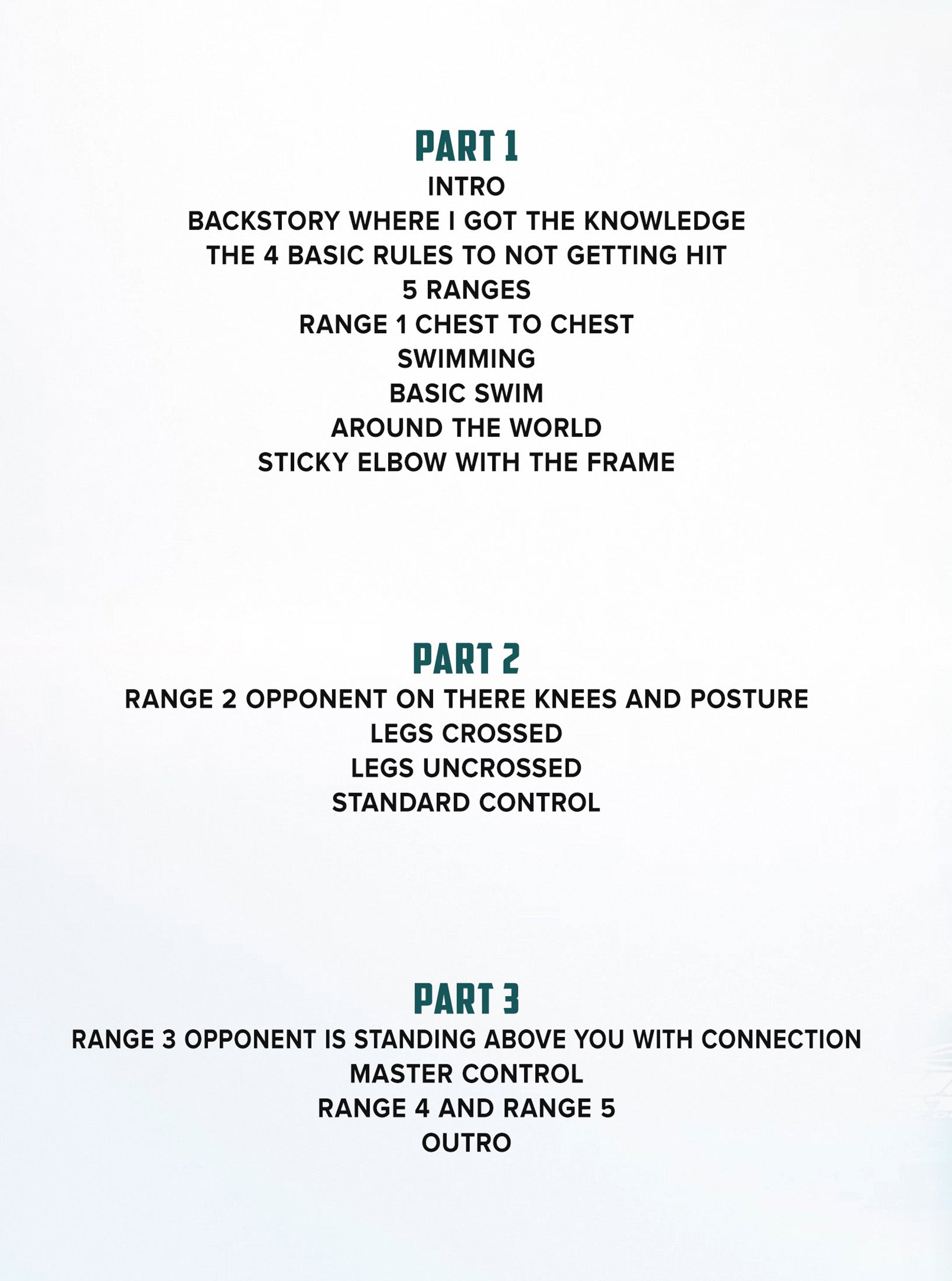 The Ground And Pound Safety Manual by Javier Vazquez image 2