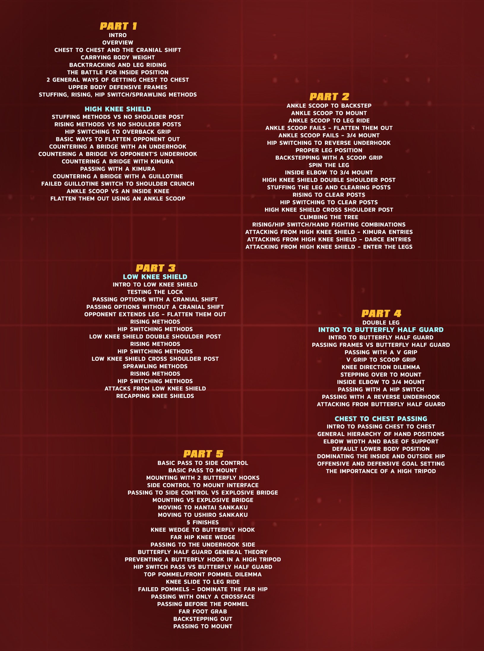 Systematically Attacking The Guard: Half Guard Passing by Gordon Ryan image 2