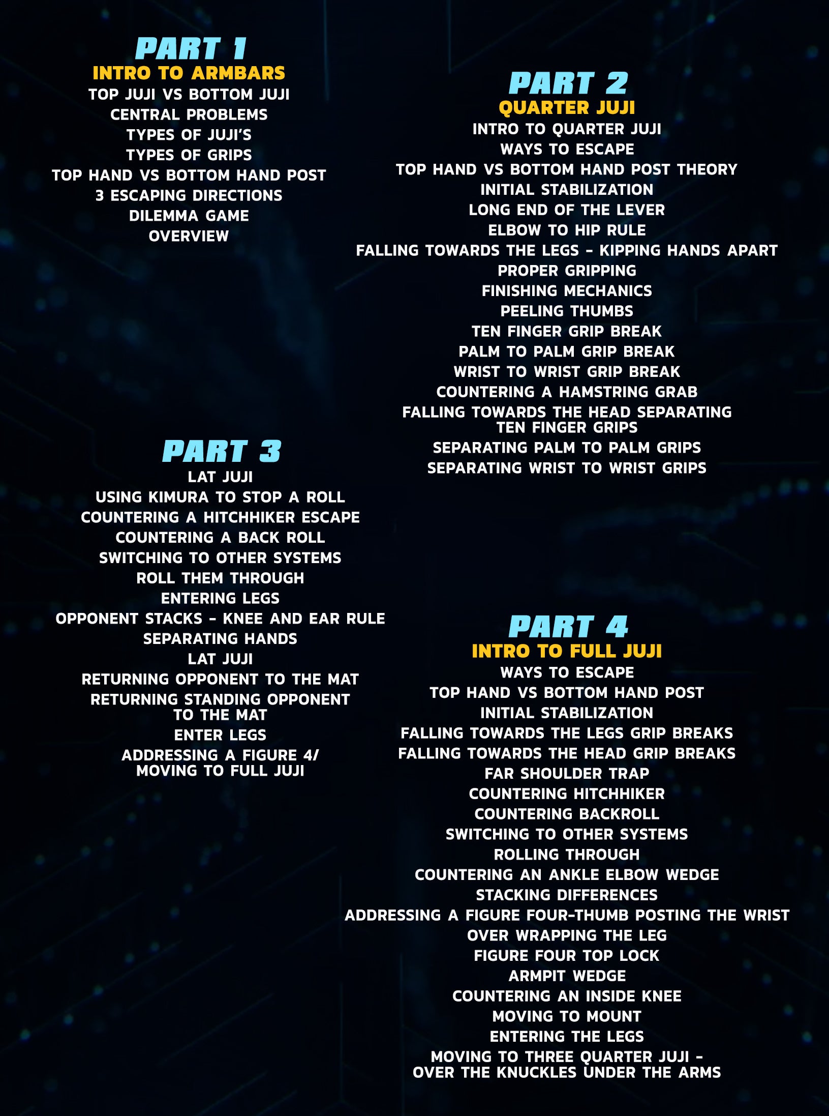 Systematically Attacking The Arm Bar by Gordon Ryan image 2