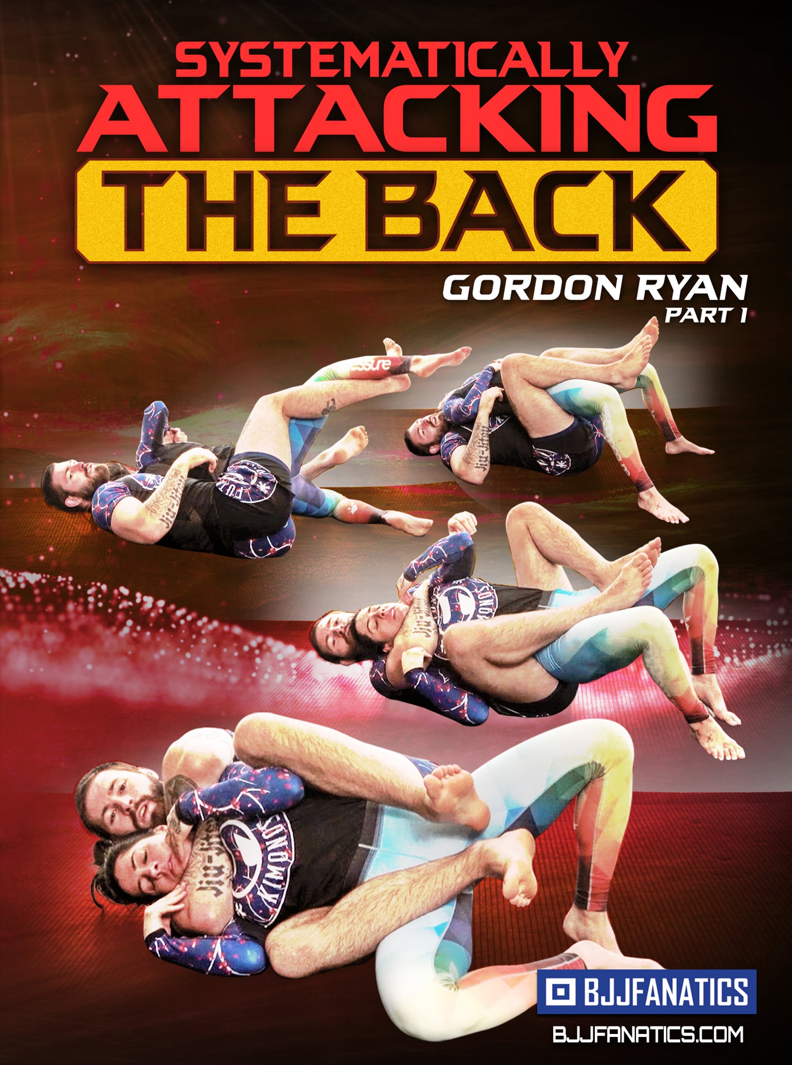 Systematically Attacking The Back by Gordon Ryan image 1
