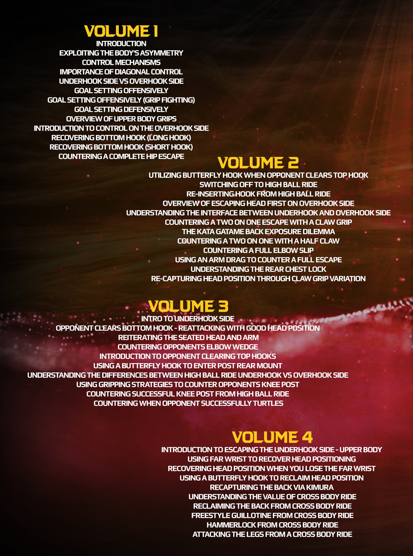 Systematically Attacking The Back by Gordon Ryan image 2