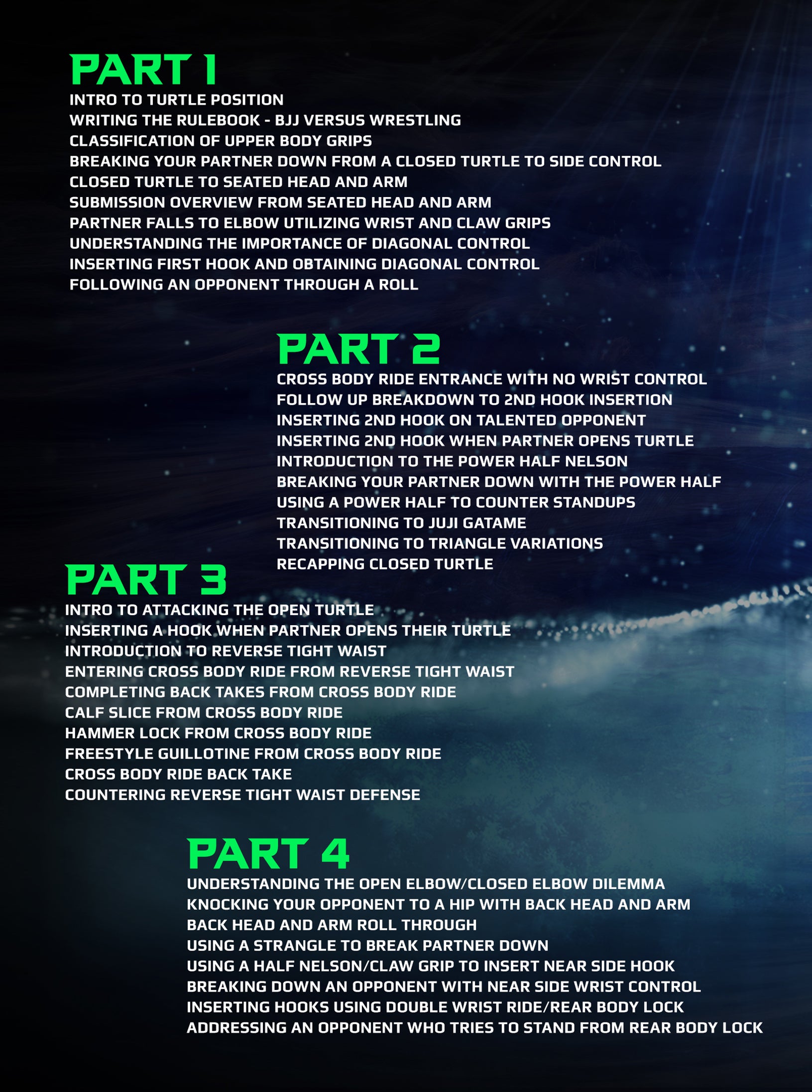 Systematically Attacking the Turtle Position by Gordon Ryan image 2