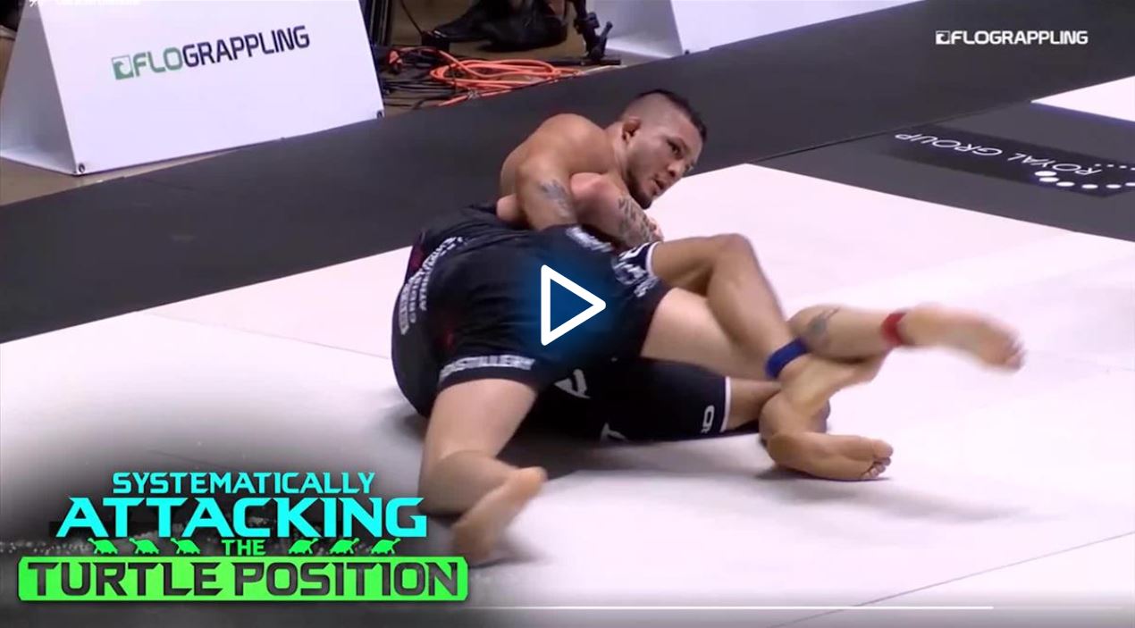 Systematically Attacking the Turtle Position by Gordon Ryan image 4