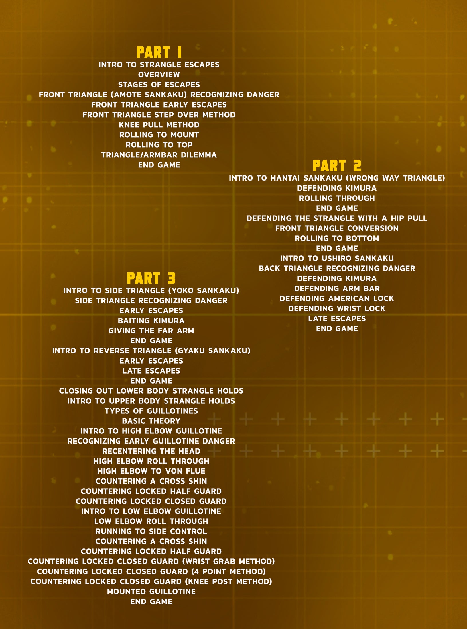 Pillars of Defense: Strangle Escapes by Gordon Ryan image 2