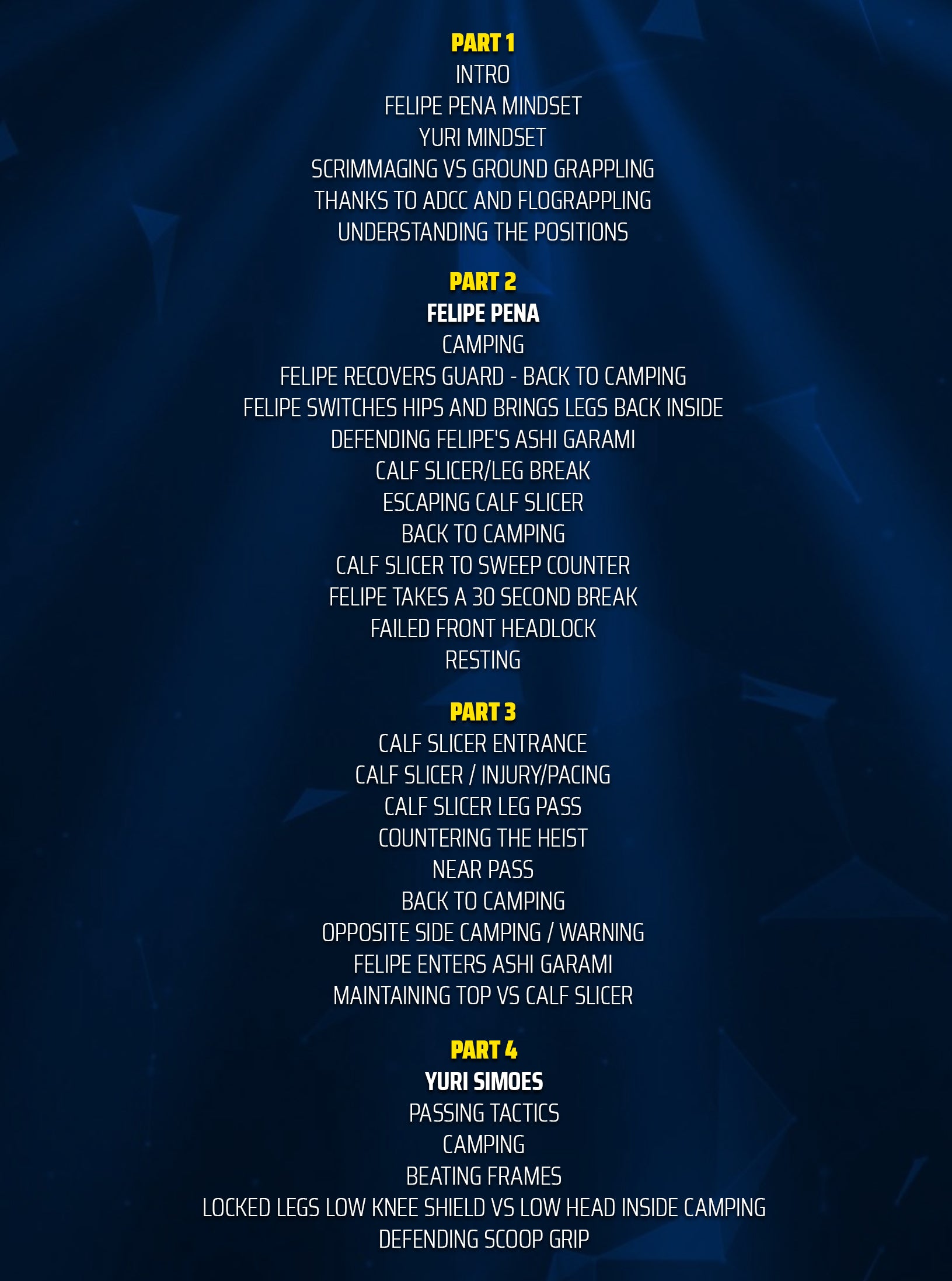 My Evolution Your Revolution ADCC 2024 by Gordon Ryan image 2