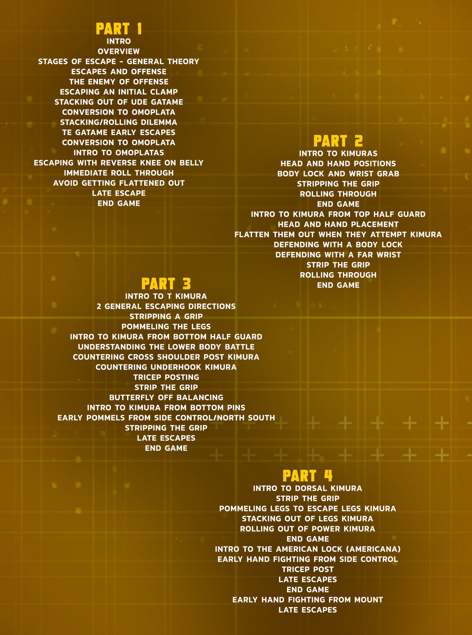 Pillars of Defense: Upper Body Joint Lock Escapes by Gordon Ryan image 2