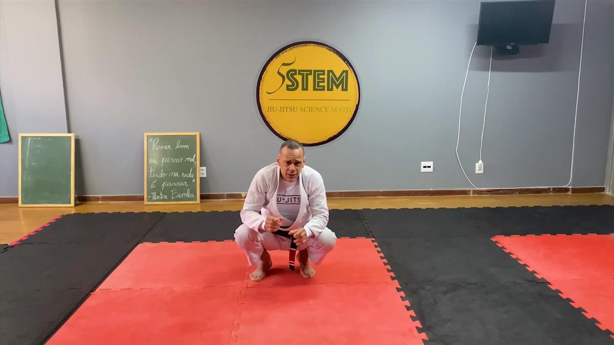 Capoeira For BJJ by Guilherme Santos image 5