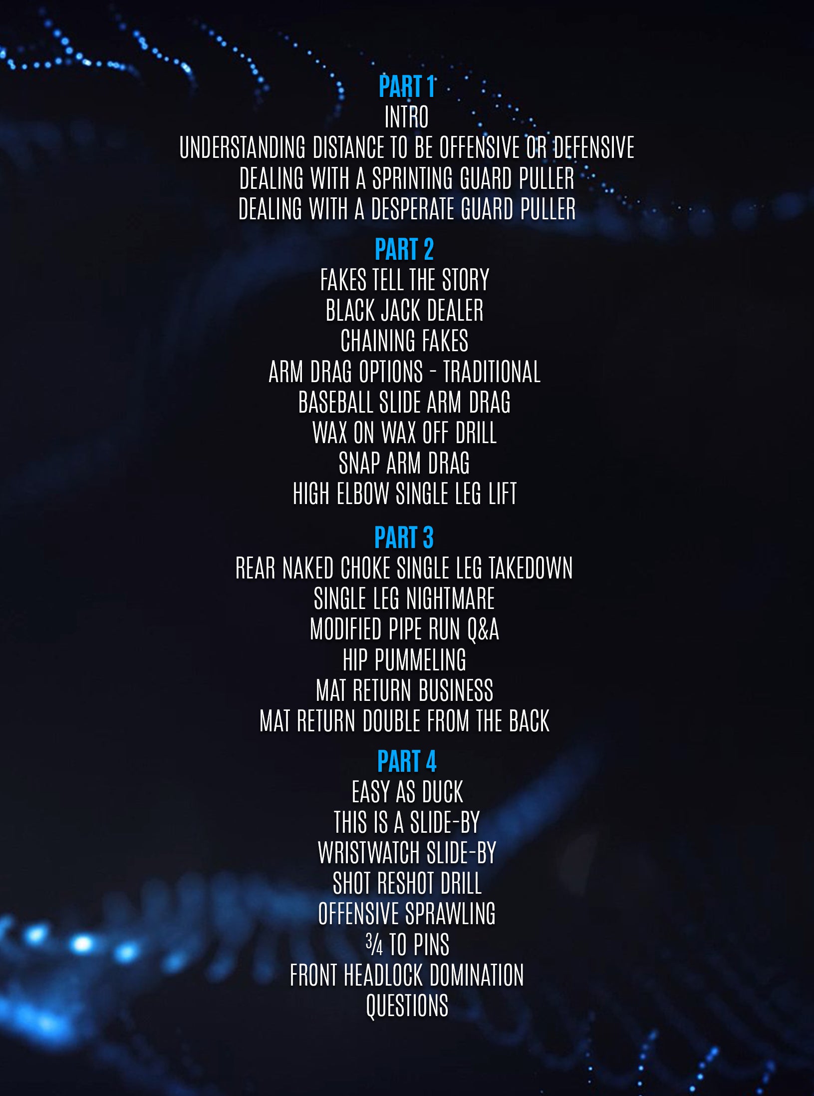 Daisy Fresh Wrestling Blue Belt Curriculum by Alejandro Wajner Heath Pedigo image 2