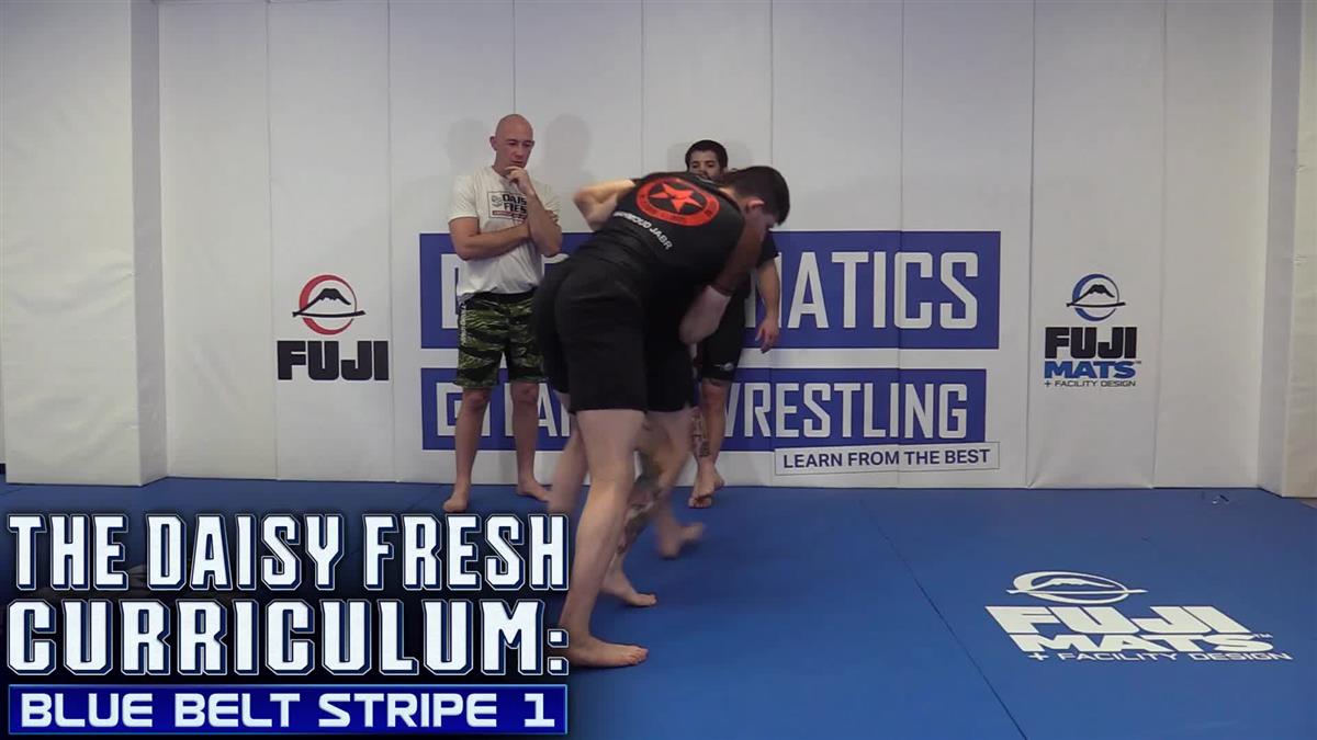 The Daisy Fresh Curriculum: Blue Belt No Gi Stripe 1 by Heath Pedigo image 3