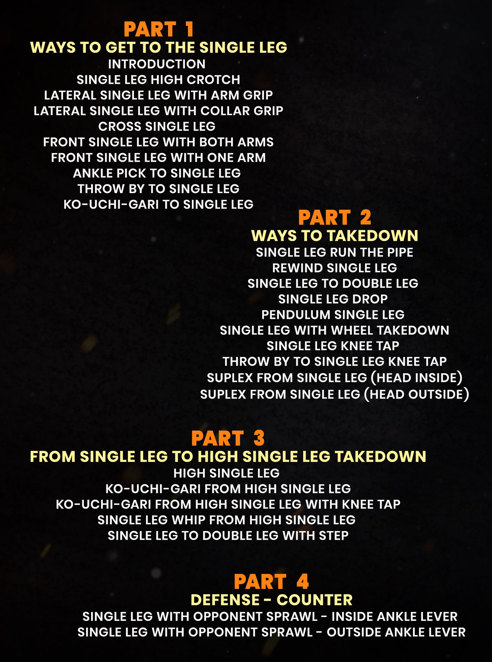 Secrets of The Single Leg by Joao Nicolite image 2