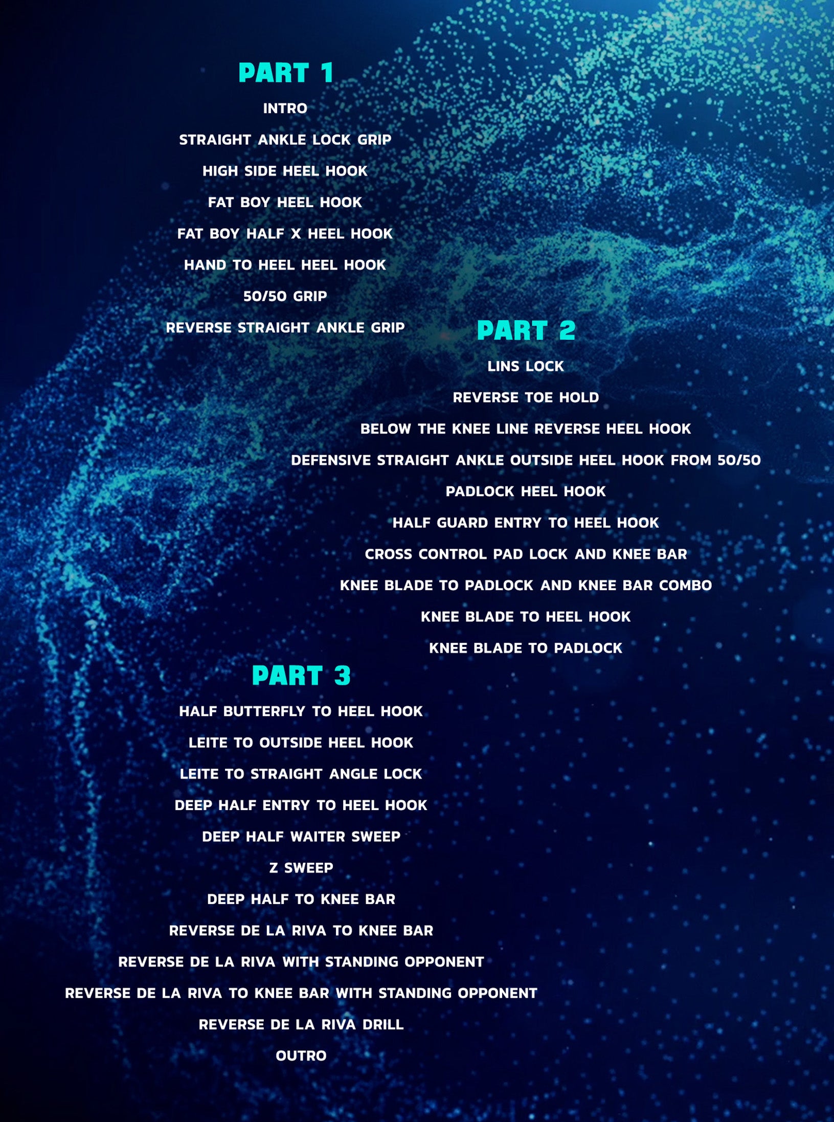 Devastating Lower Body Submission Attacks by Joe Baize image 2