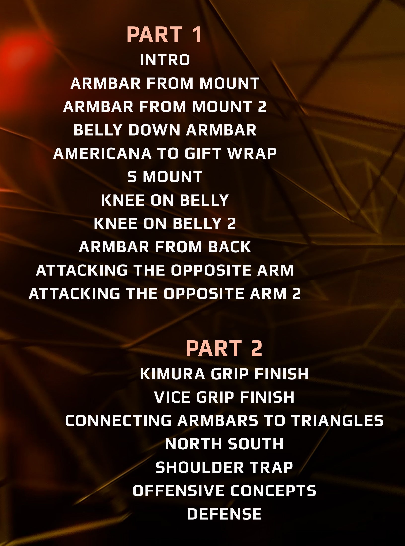The Armbar Assault Manual by Joel Bouhey image 2