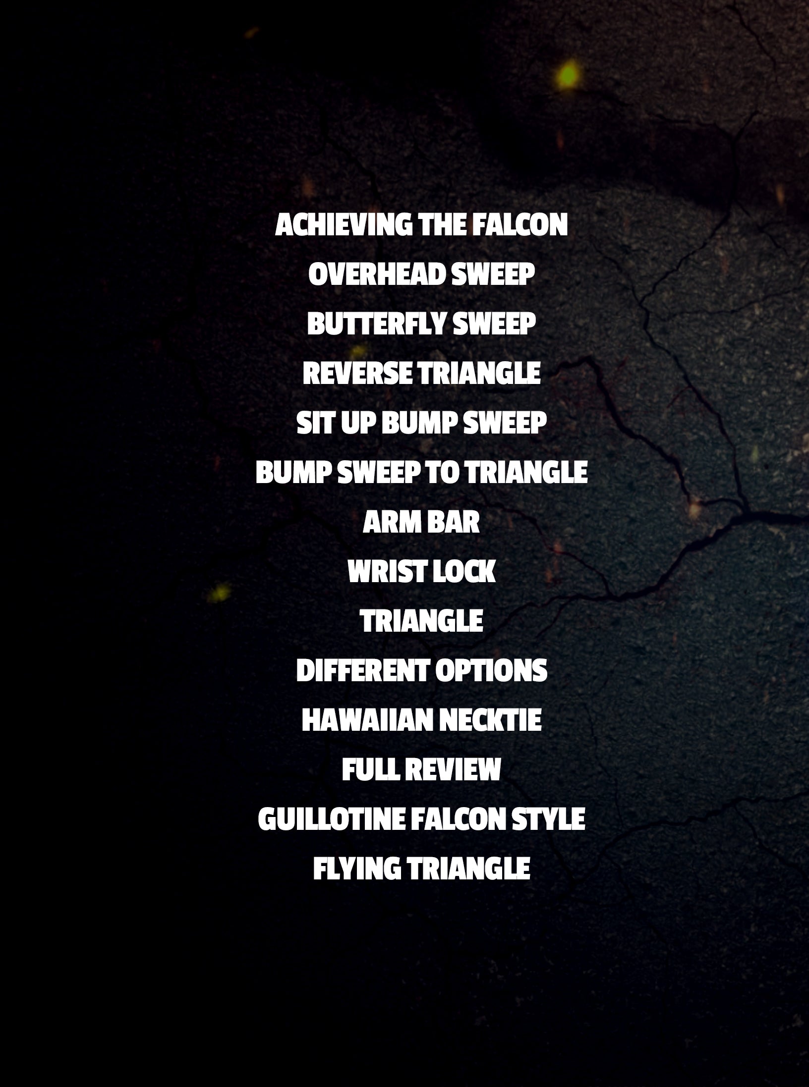 The Falcon Guard By Joel Bouhey image 2