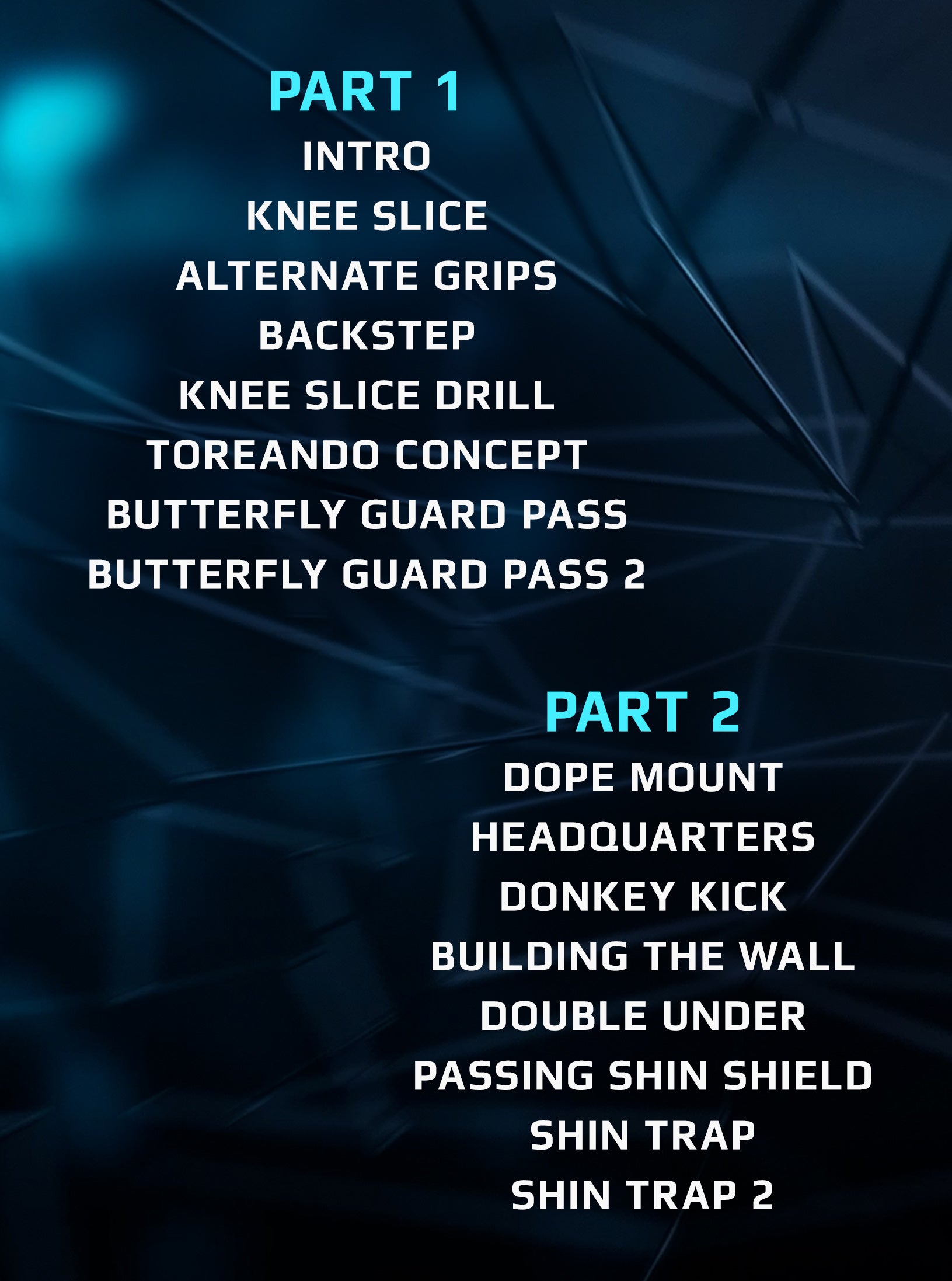 Guard Passers Guide To Galaxy by Joel Bouhey image 2