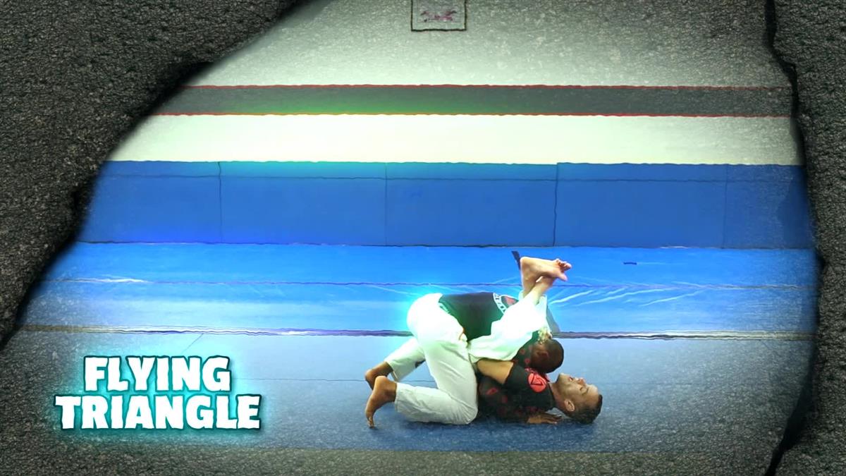 The Falcon Guard By Joel Bouhey image 3