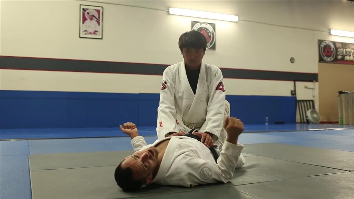 The Falcon Guard By Joel Bouhey image 4