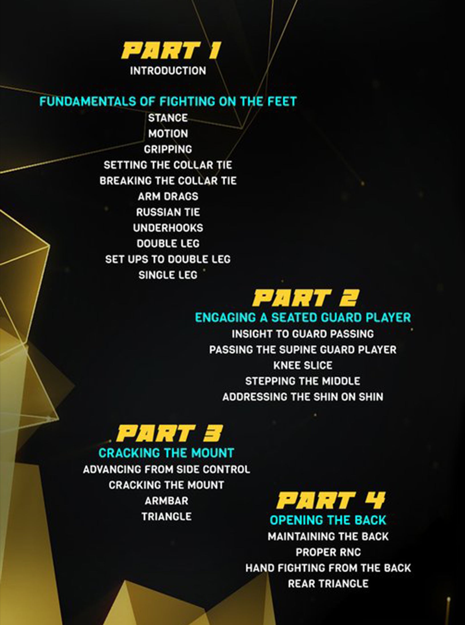 The No Gi Game Plan: Takedown, Pass, Finish by John Combs image 2