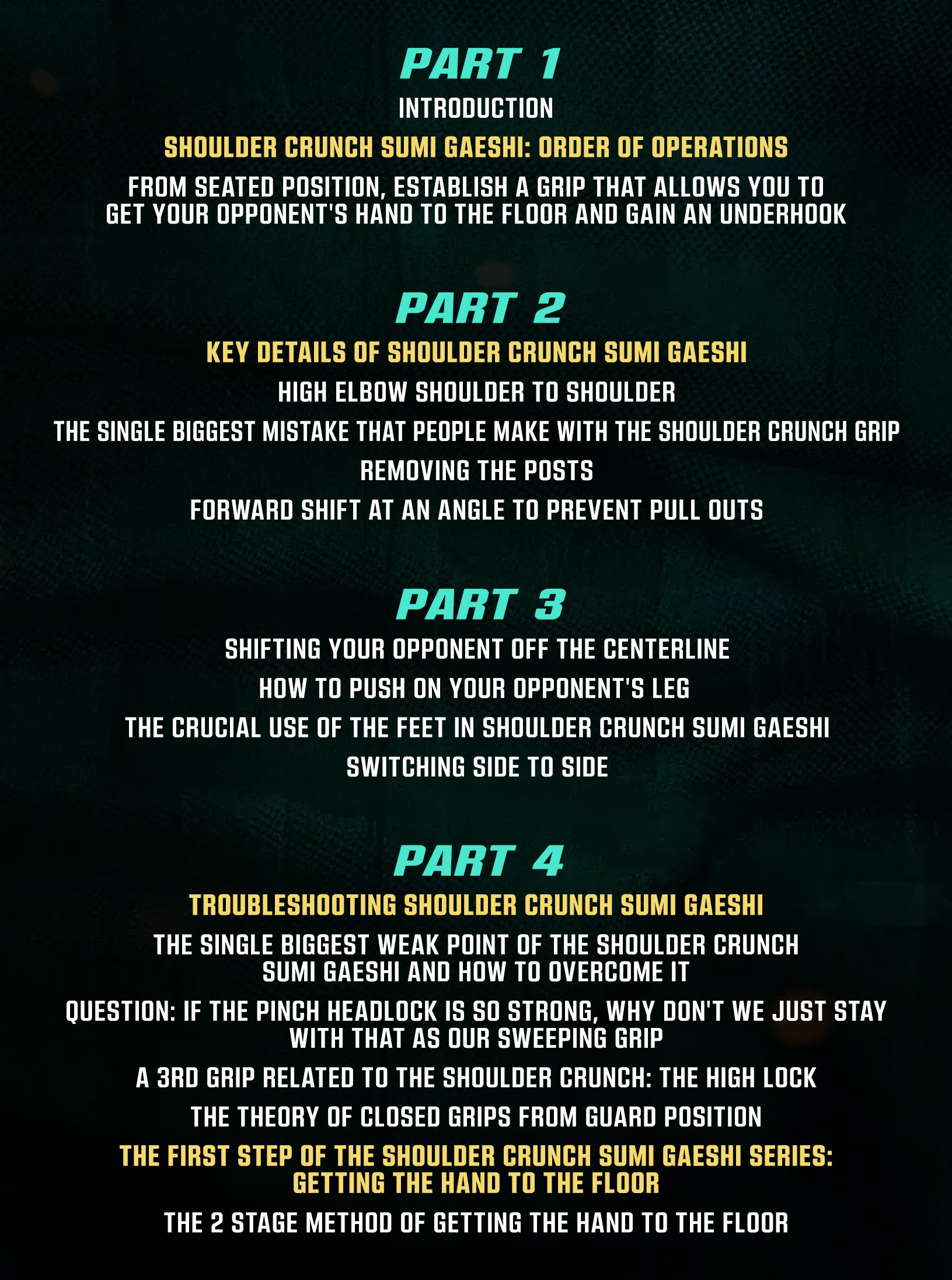 Master The Move: The Shoulder Crunch Series by John Danaher image 2