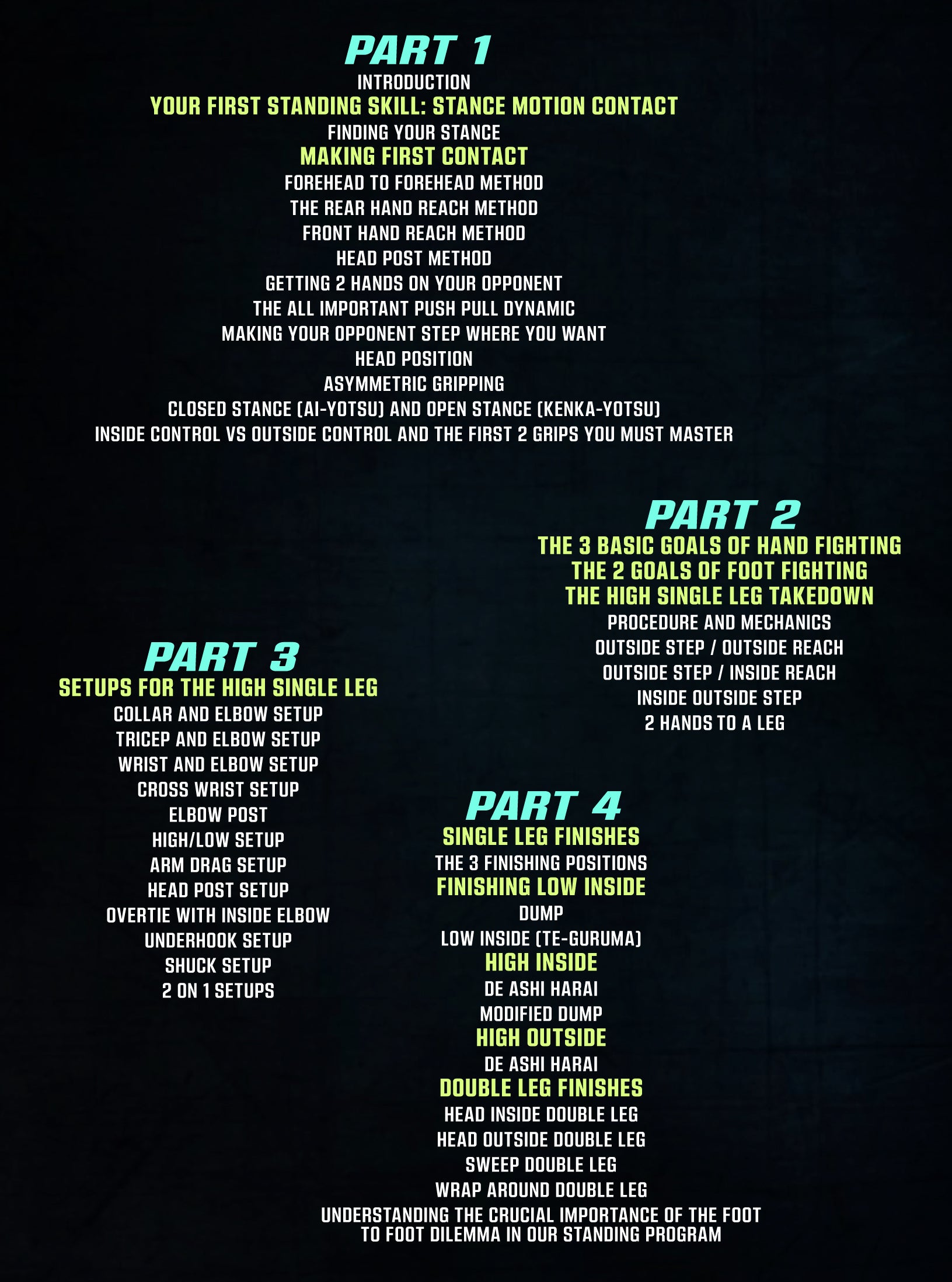 The Fastest Way: To Becoming Effective In Standing Position by John Danaher image 2