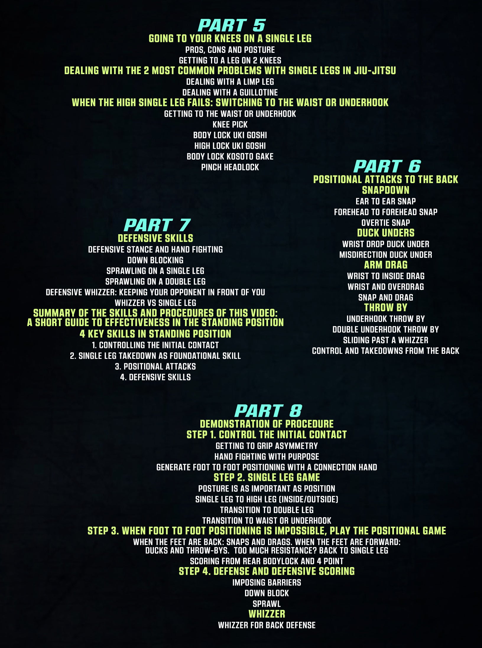 The Fastest Way: To Becoming Effective In Standing Position by John Danaher image 3