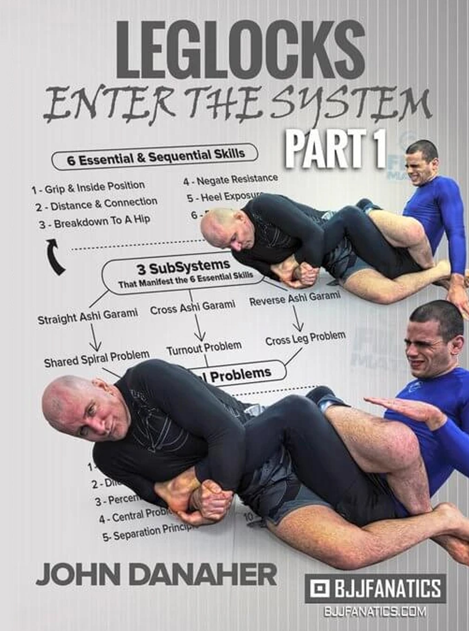 Leglocks: Enter The System by John Danaher image 1
