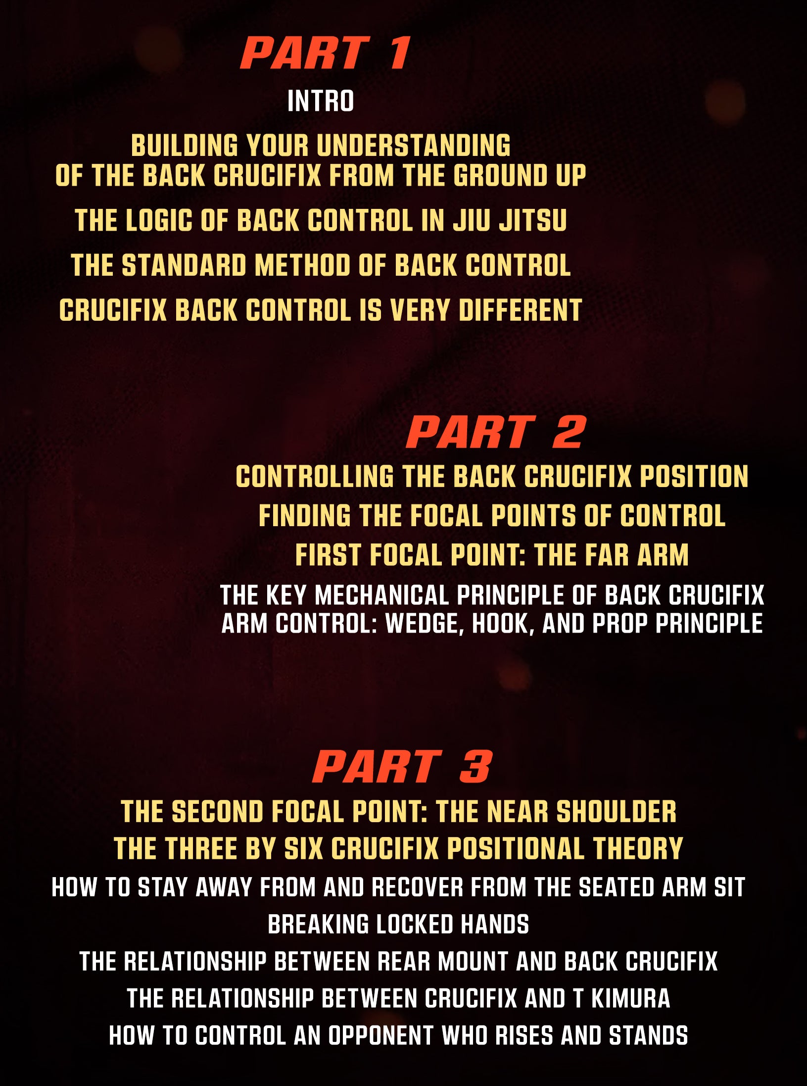 Master The Move: The Back Crucifix by John Danaher image 2