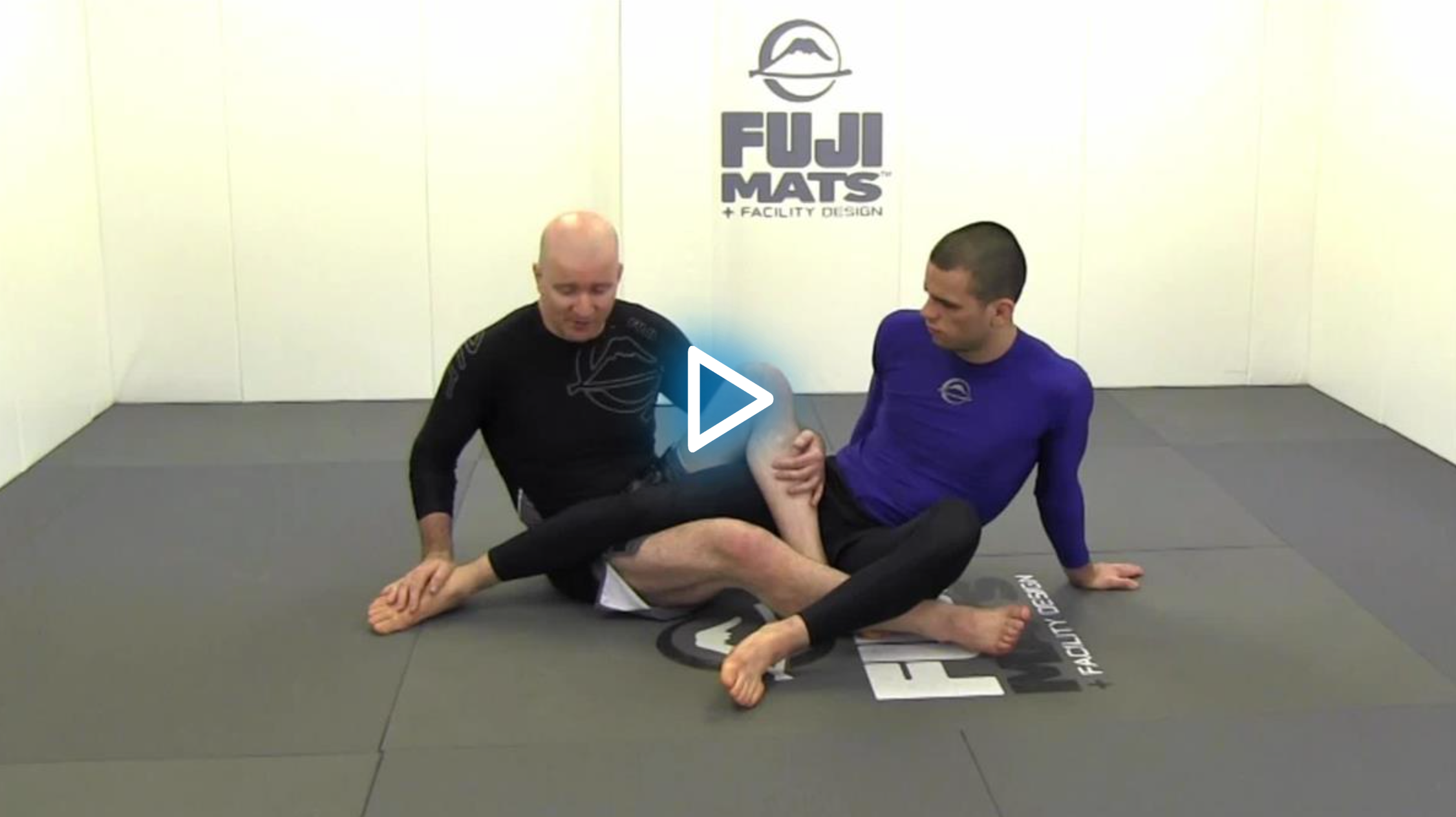 Leglocks: Enter The System by John Danaher image 4