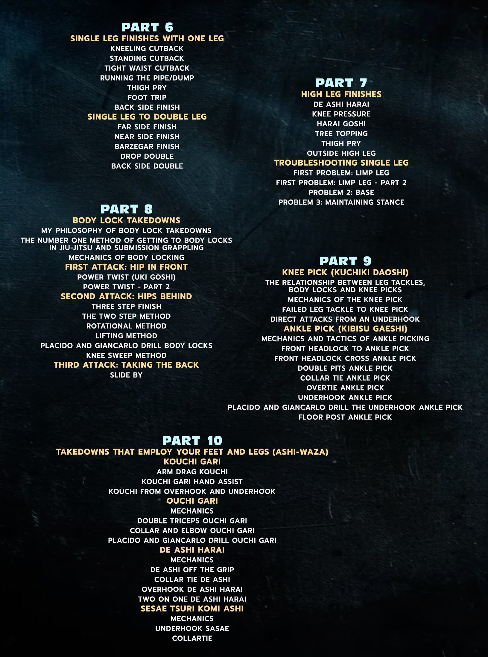 Standing2Ground: Takedowns & Standing Skills For Jiu Jitsu by John Danaher image 3