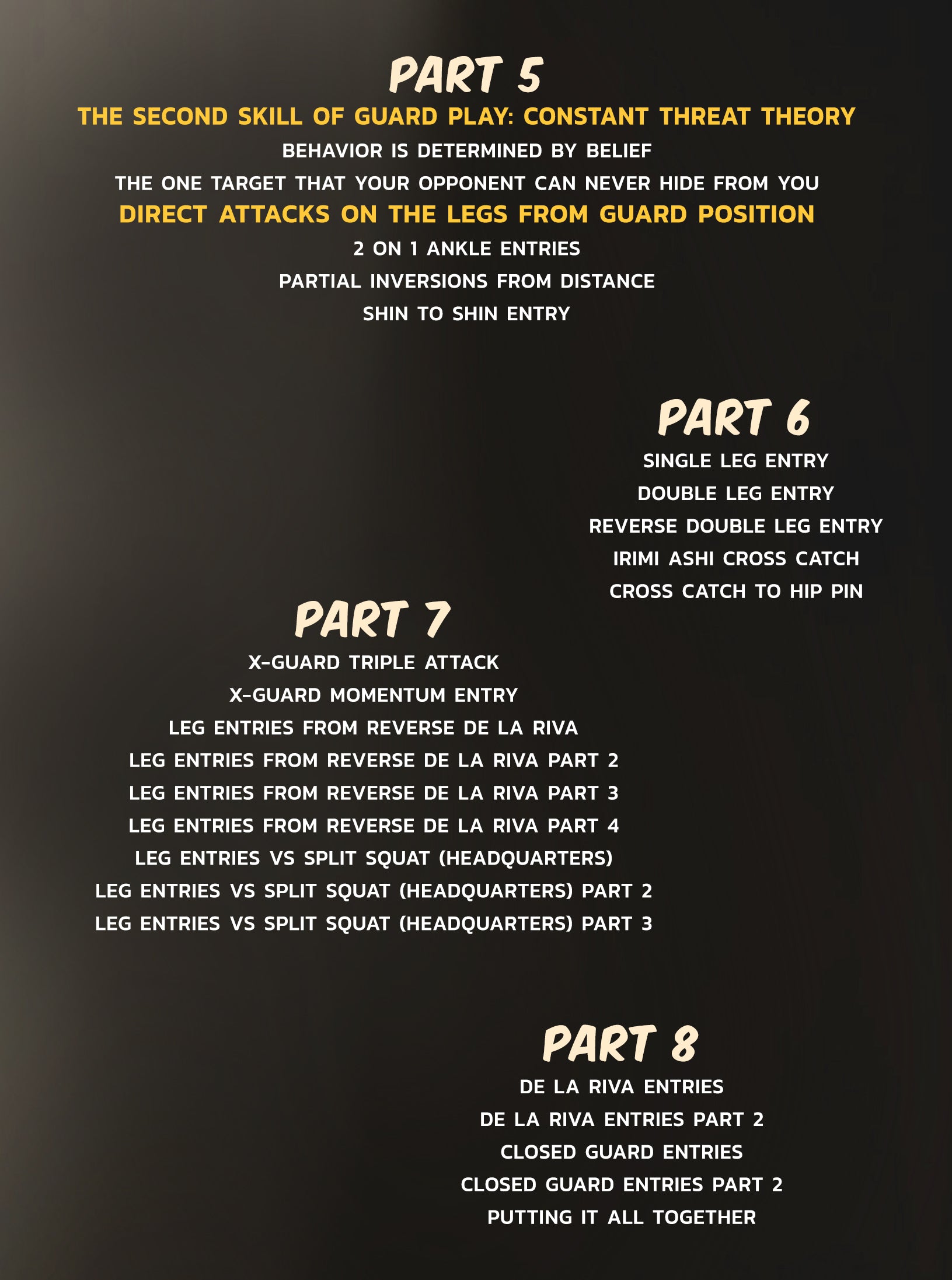 New Wave Jiu Jitsu: Open Guard The two Foundations Of Guard Play by John Danaher image 3