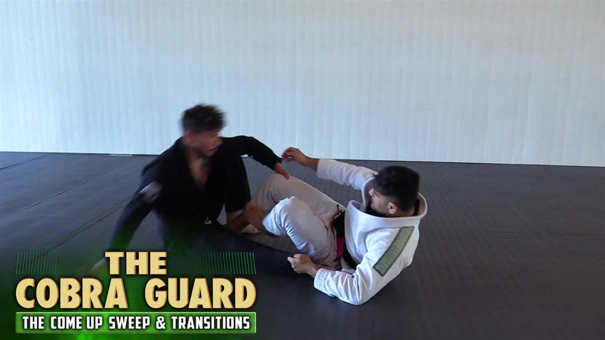 The Cobra Guard by Johnny Tama image 3