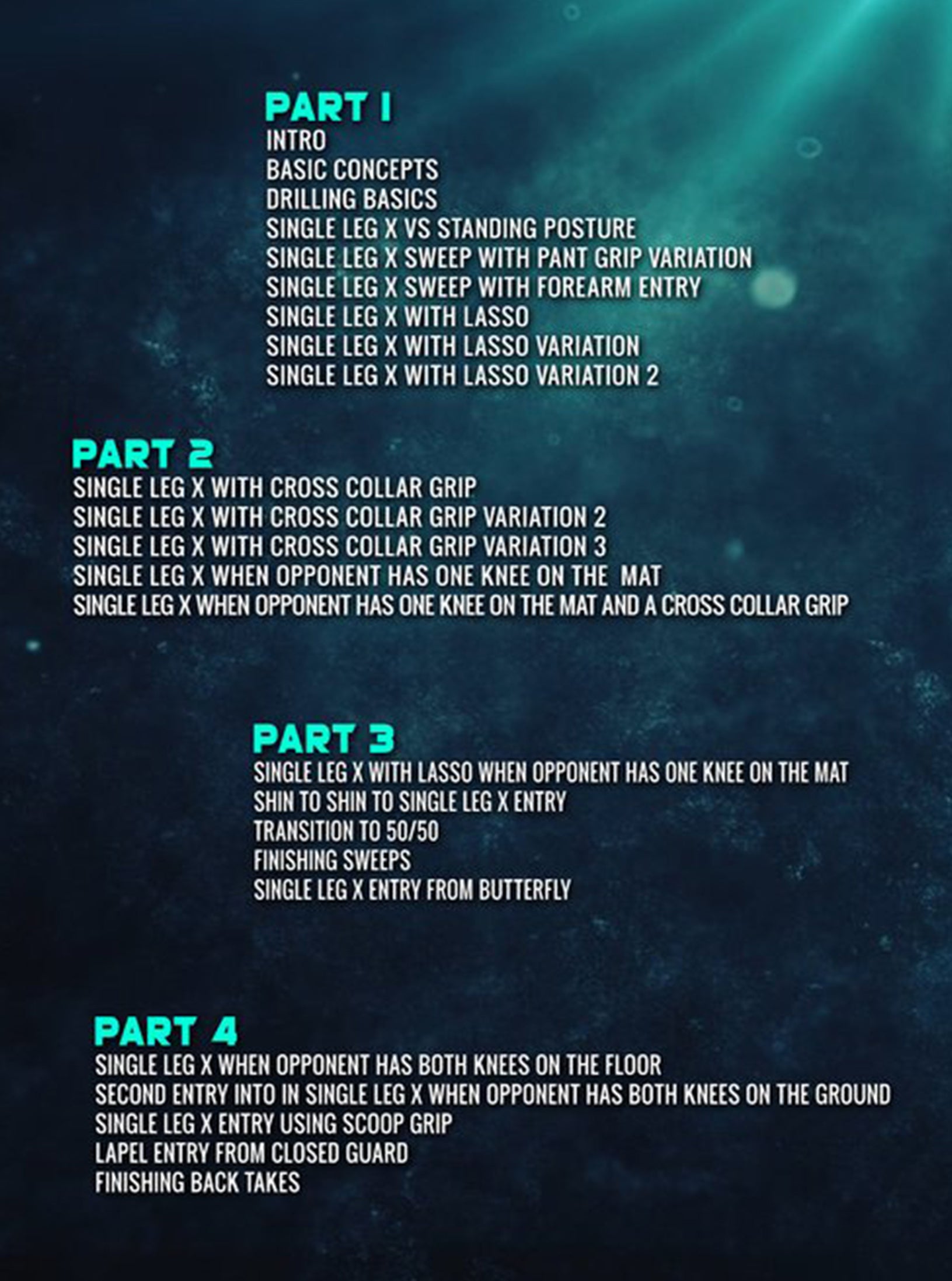 The Single Leg X Manual by Jonnatas Gracie image 2