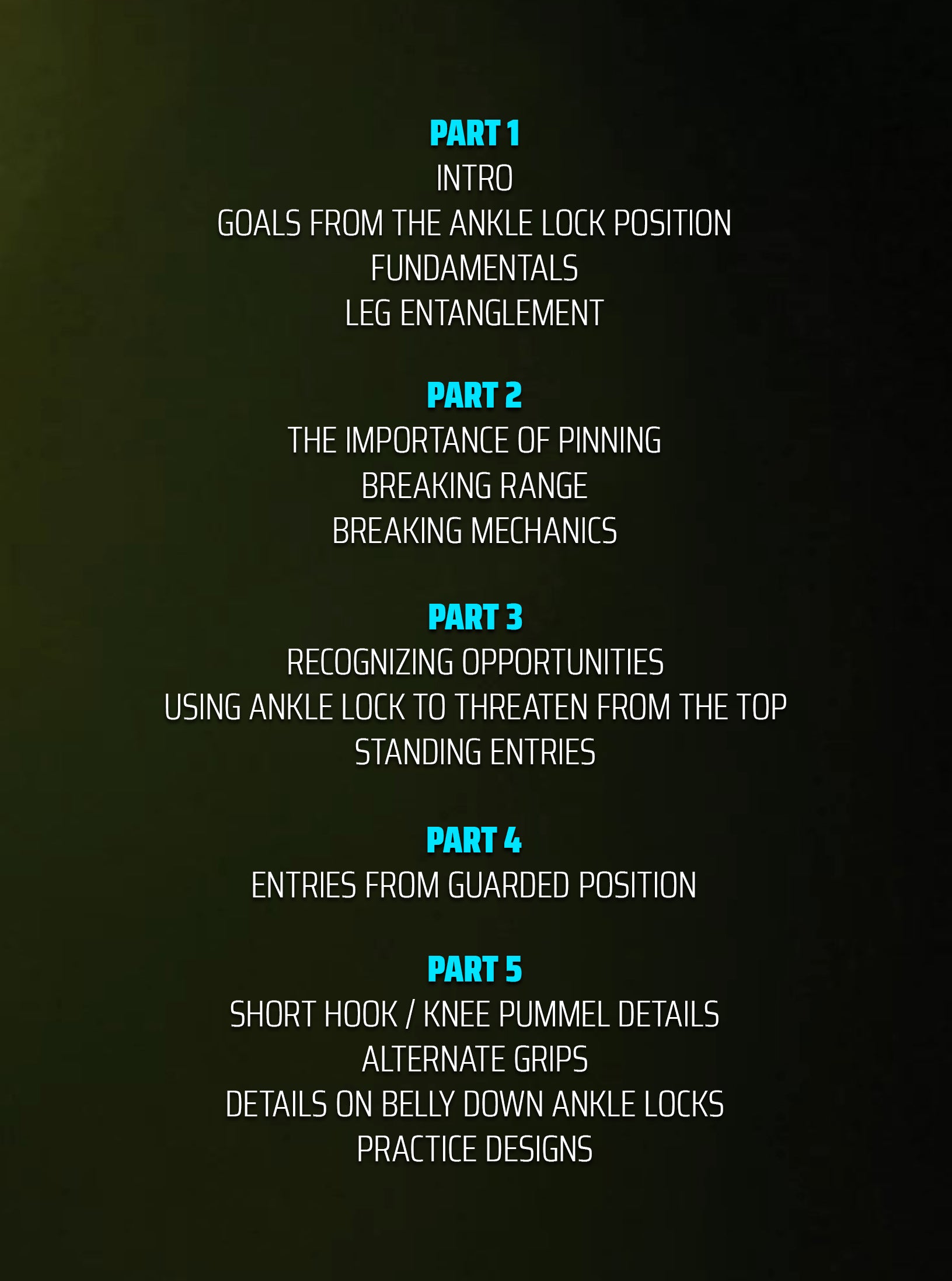 Ankle Lock Solutions and Practice Designs (Gi) by Jorge Valladares image 2